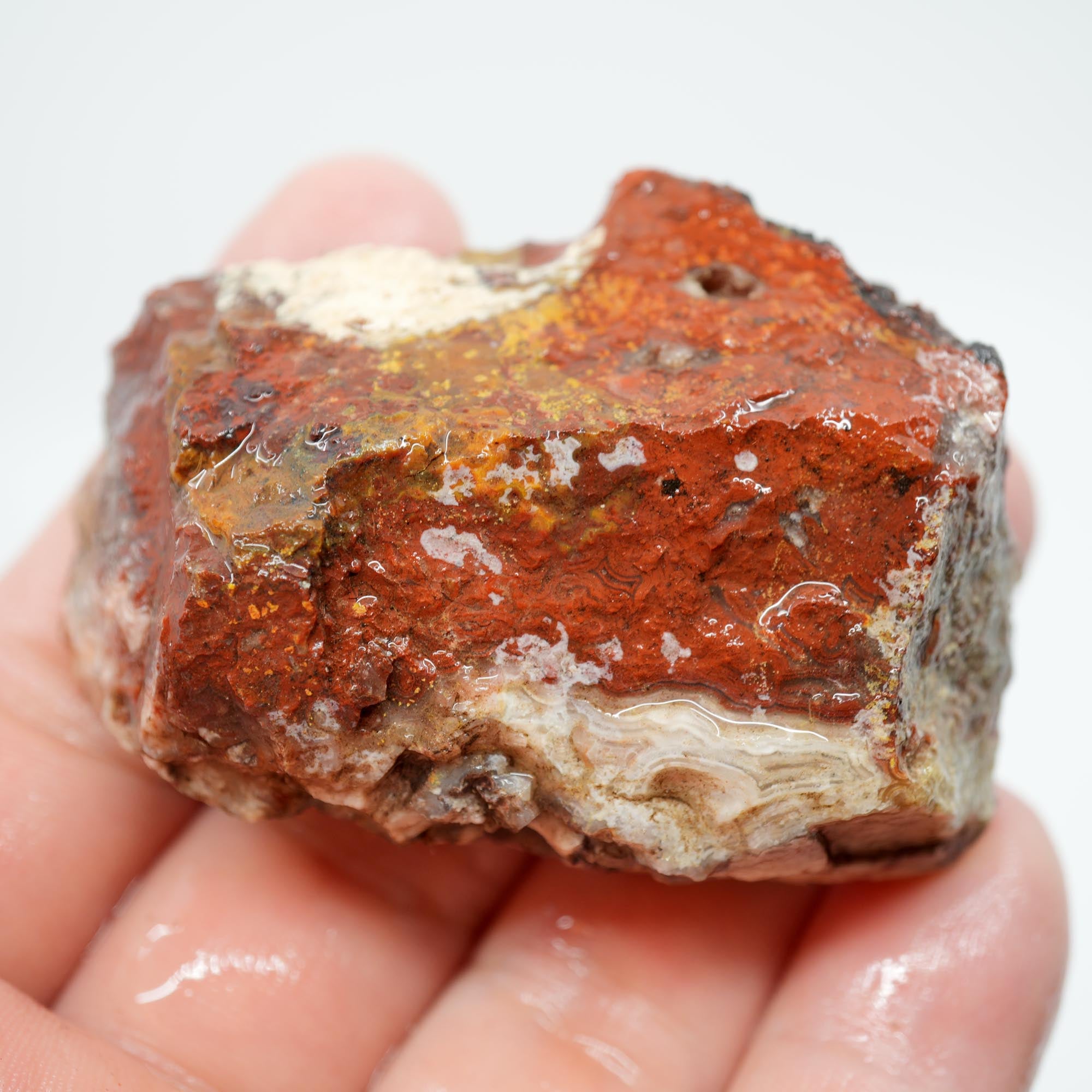 Laguna Lace Agate Endcut - Light Pink, Bright Red, White Fortification