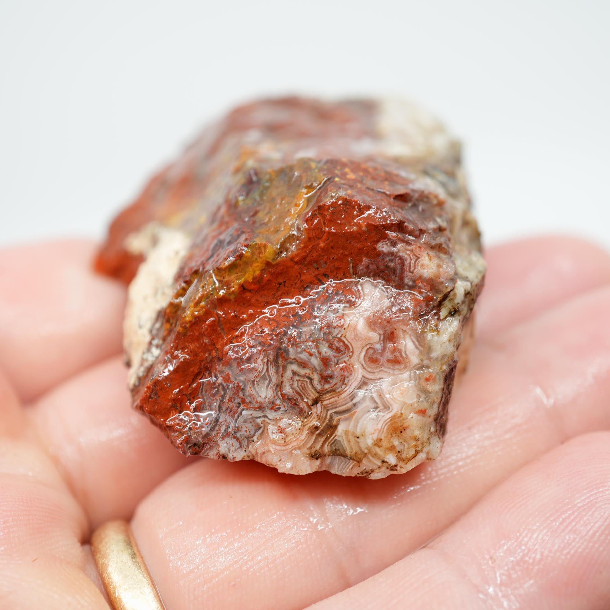 Laguna Lace Agate Endcut - Light Pink, Bright Red, White Fortification