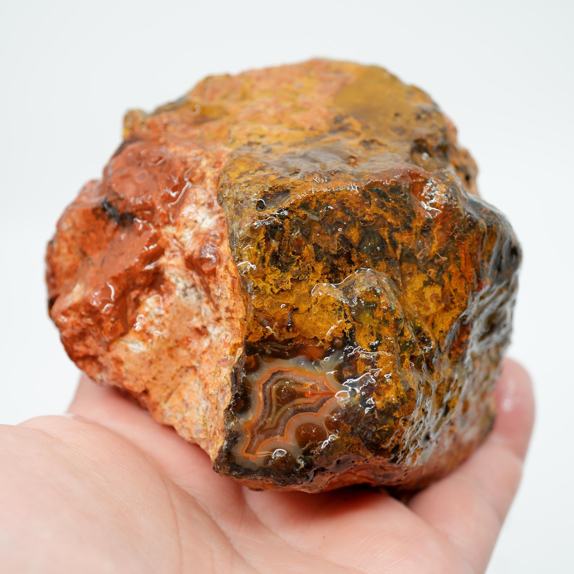 San Carlos Agate Rough - Peach Fortification with Golden Moss