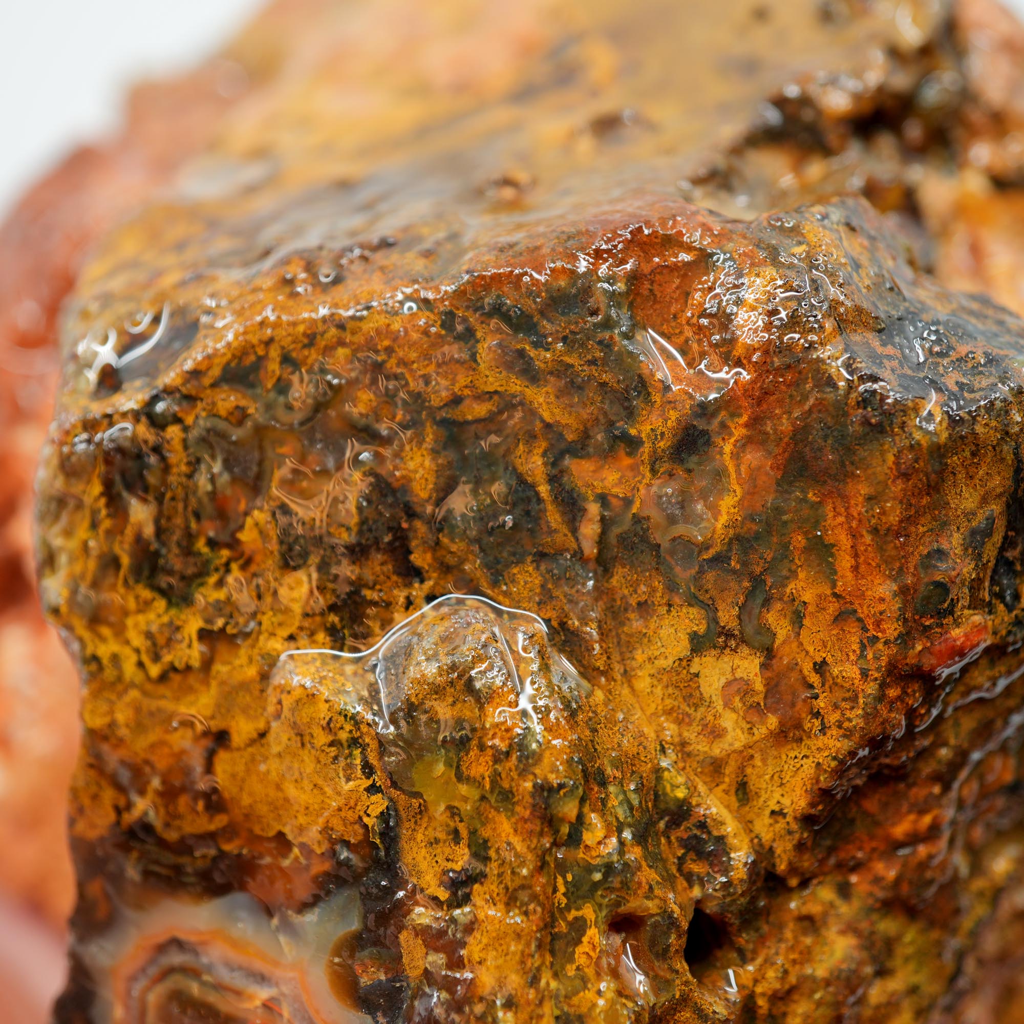San Carlos Agate Rough - Peach Fortification with Golden Moss
