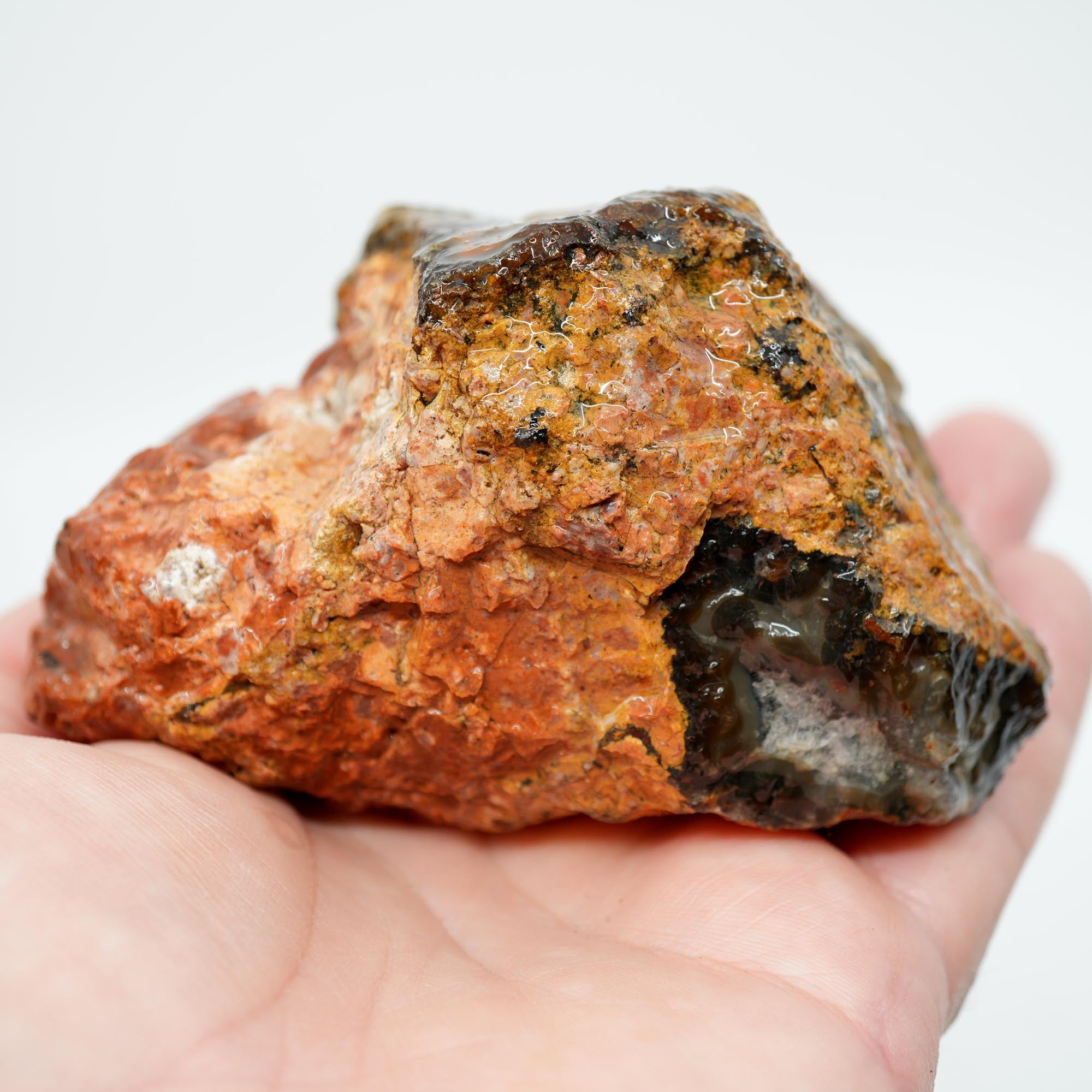San Carlos Agate Rough - Peach Fortification with Golden Moss