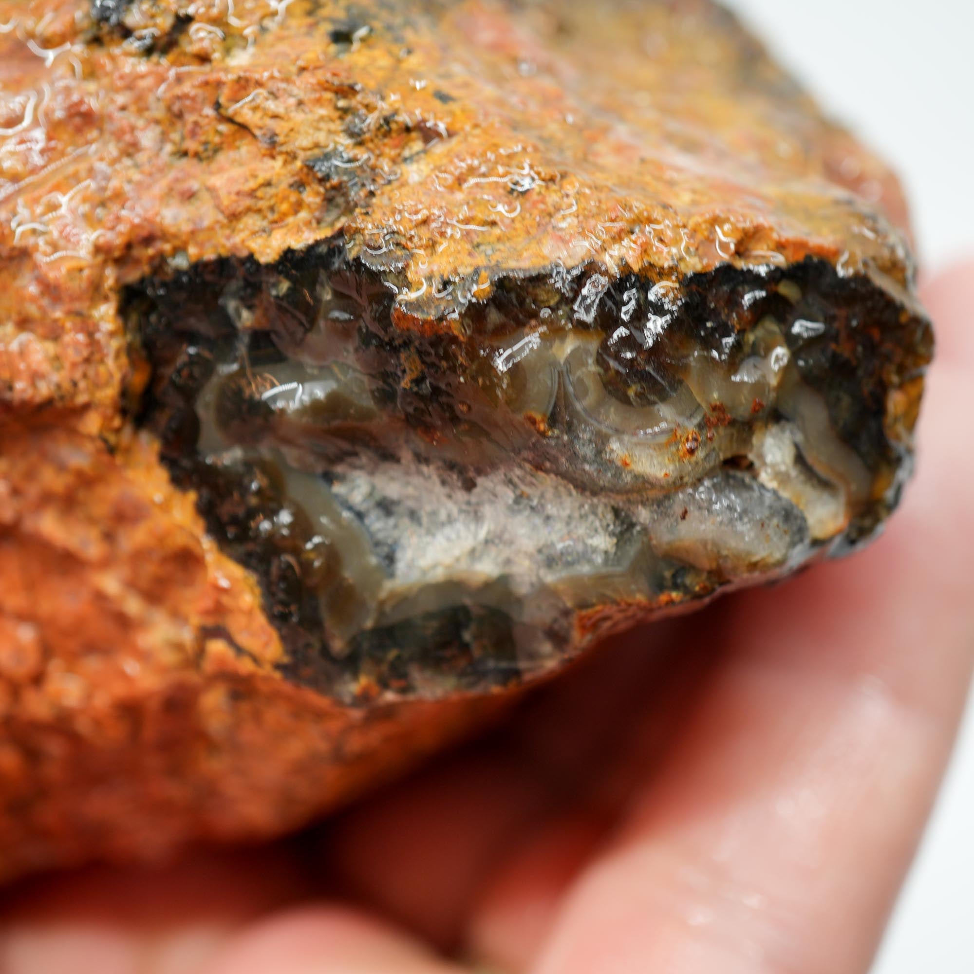San Carlos Agate Rough - Peach Fortification with Golden Moss