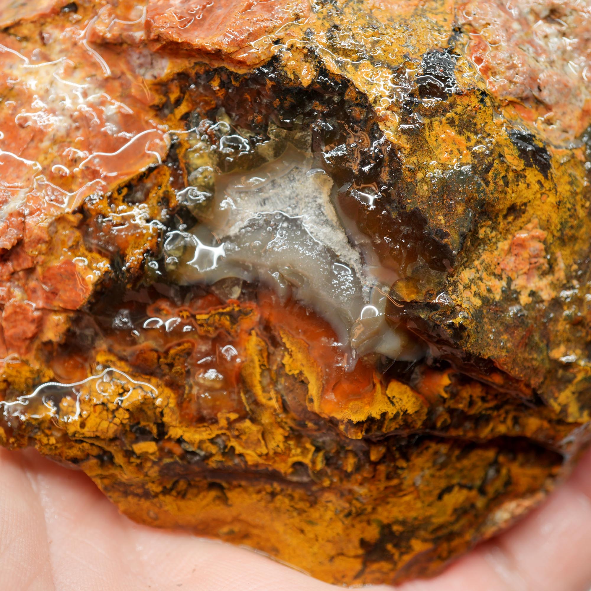 San Carlos Agate Rough - Peach Fortification with Golden Moss
