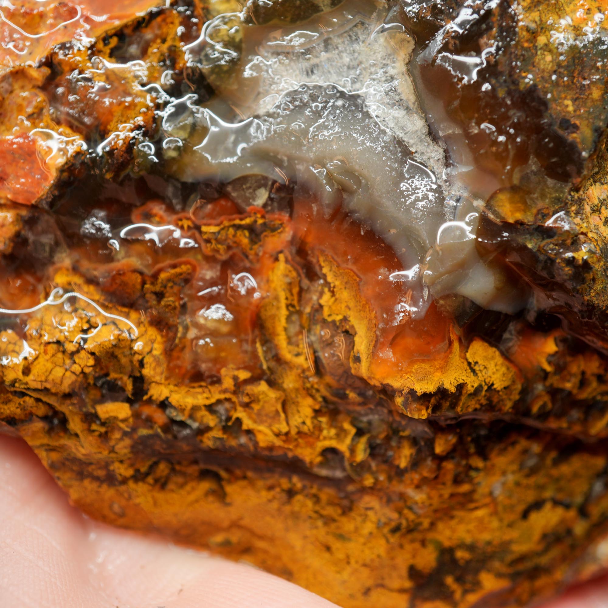 San Carlos Agate Rough - Peach Fortification with Golden Moss