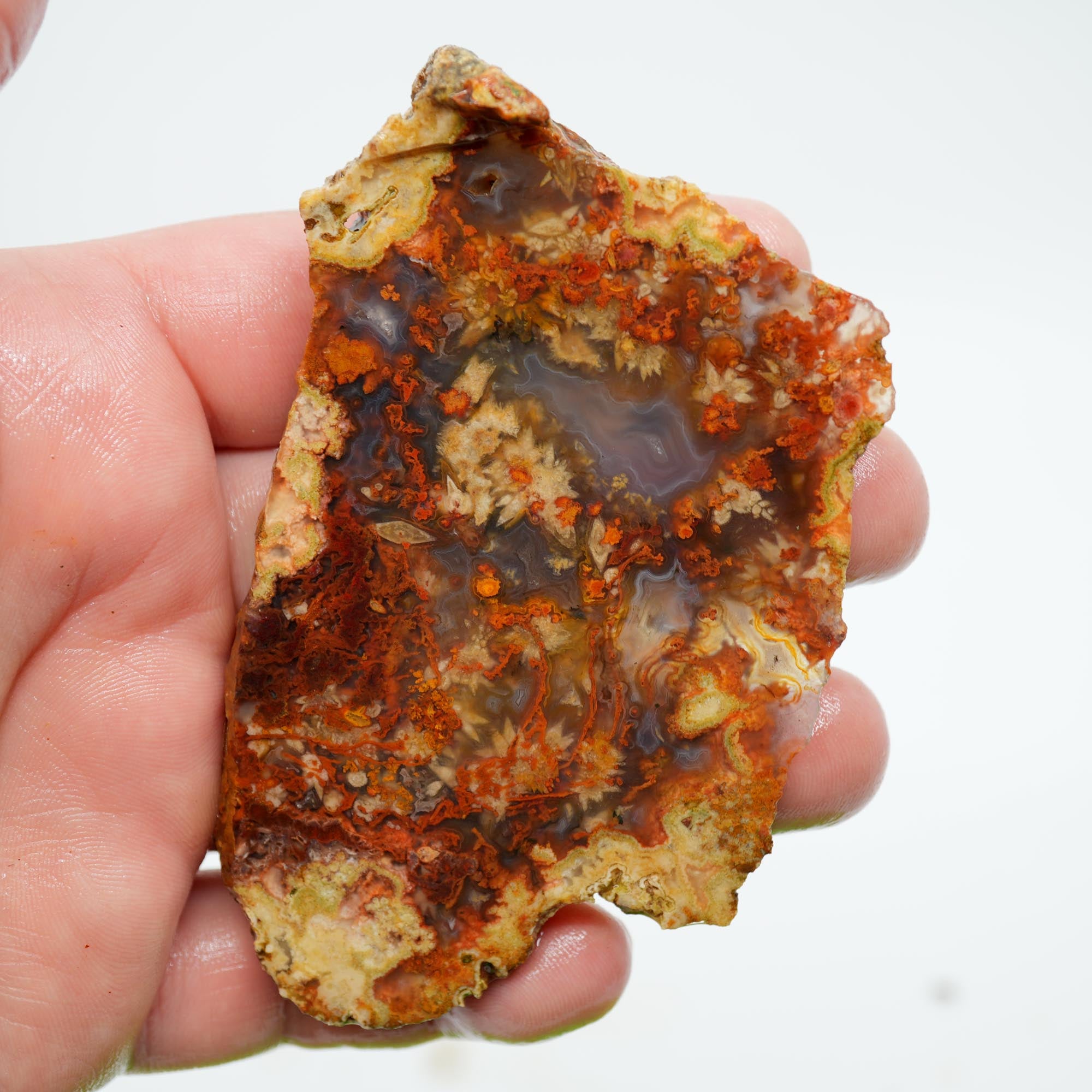 San Carlos Agate Endcut - Blue with Frost Snowflake Plumes and Red Moss