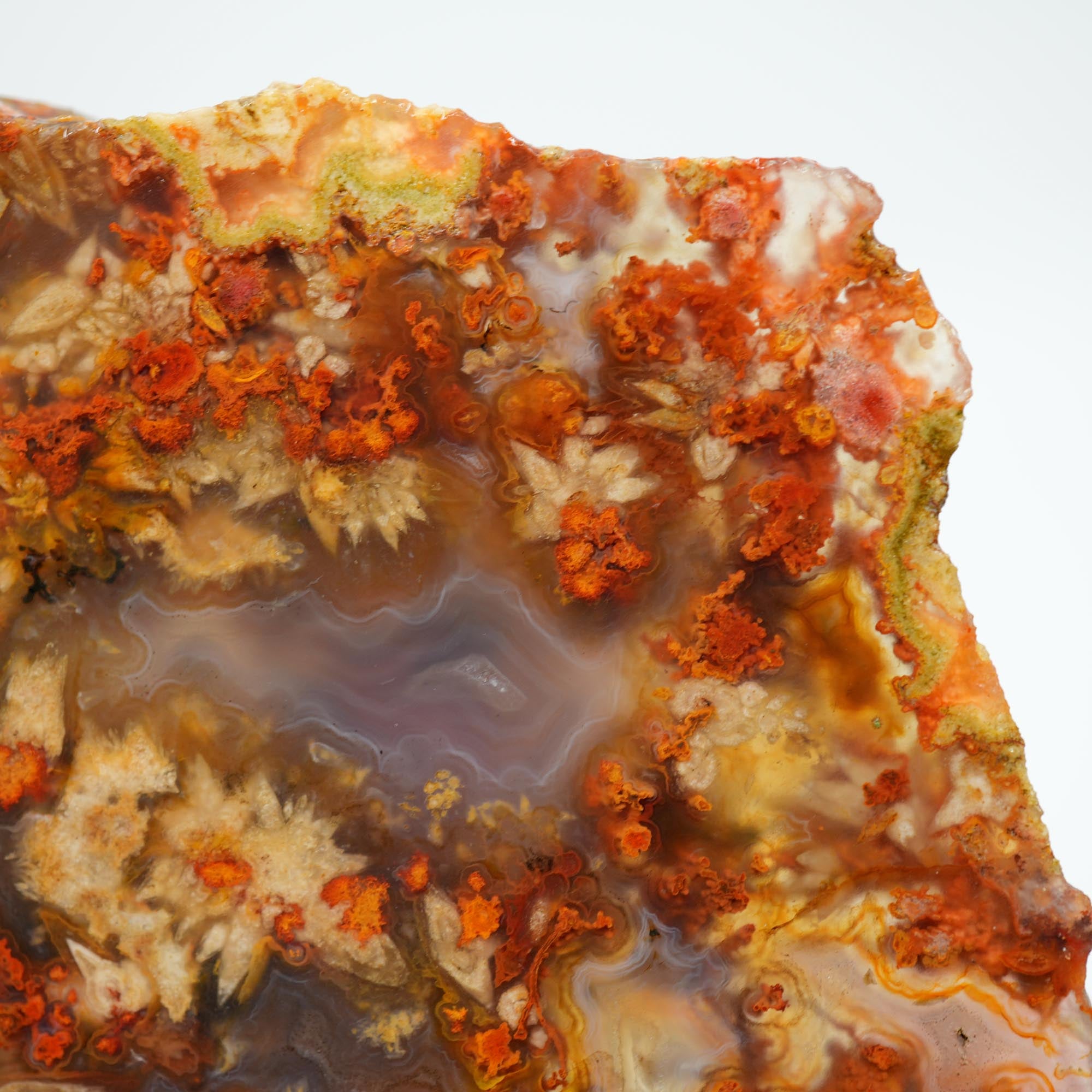 San Carlos Agate Endcut - Blue with Frost Snowflake Plumes and Red Moss