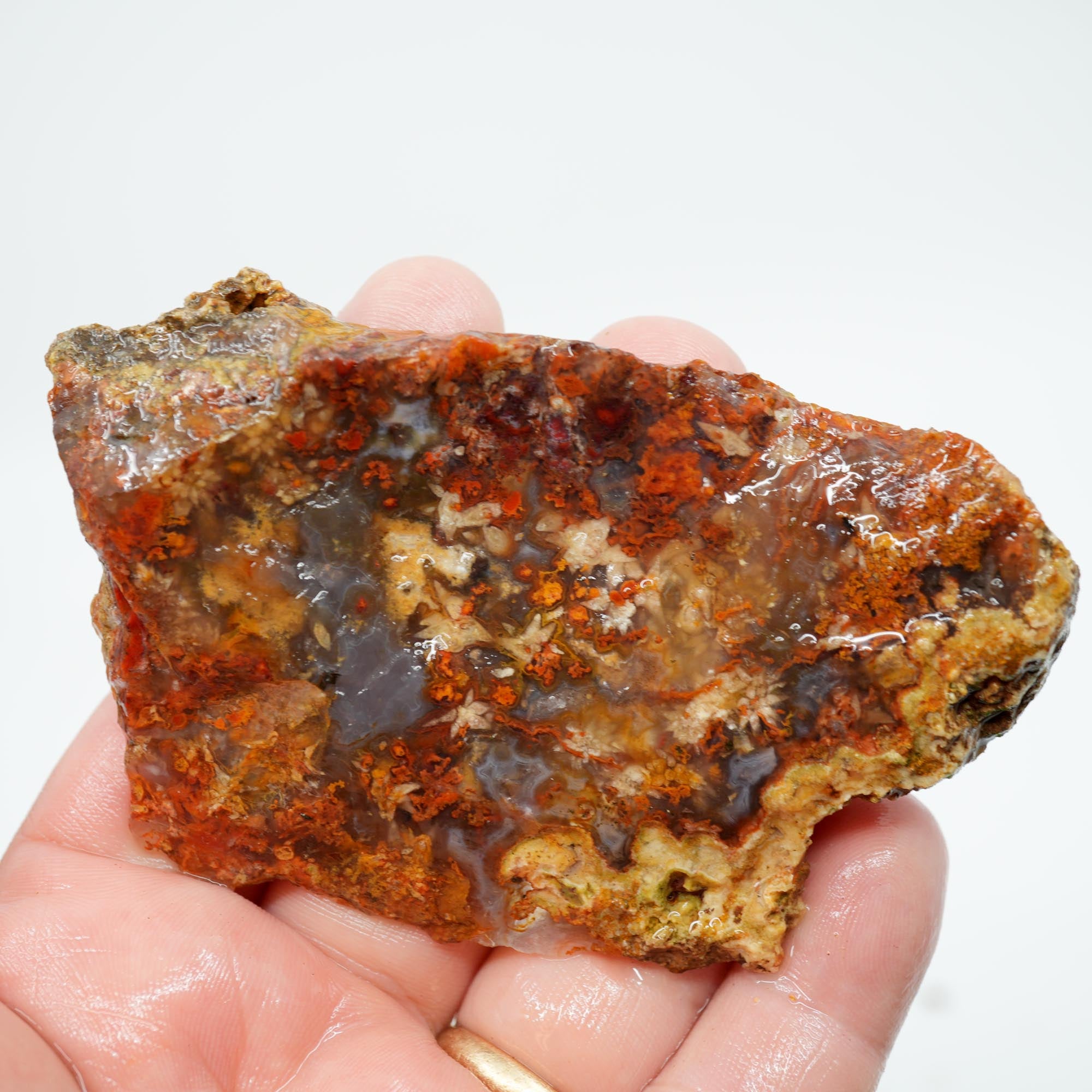 San Carlos Agate Endcut - Blue with Frost Snowflake Plumes and Red Moss