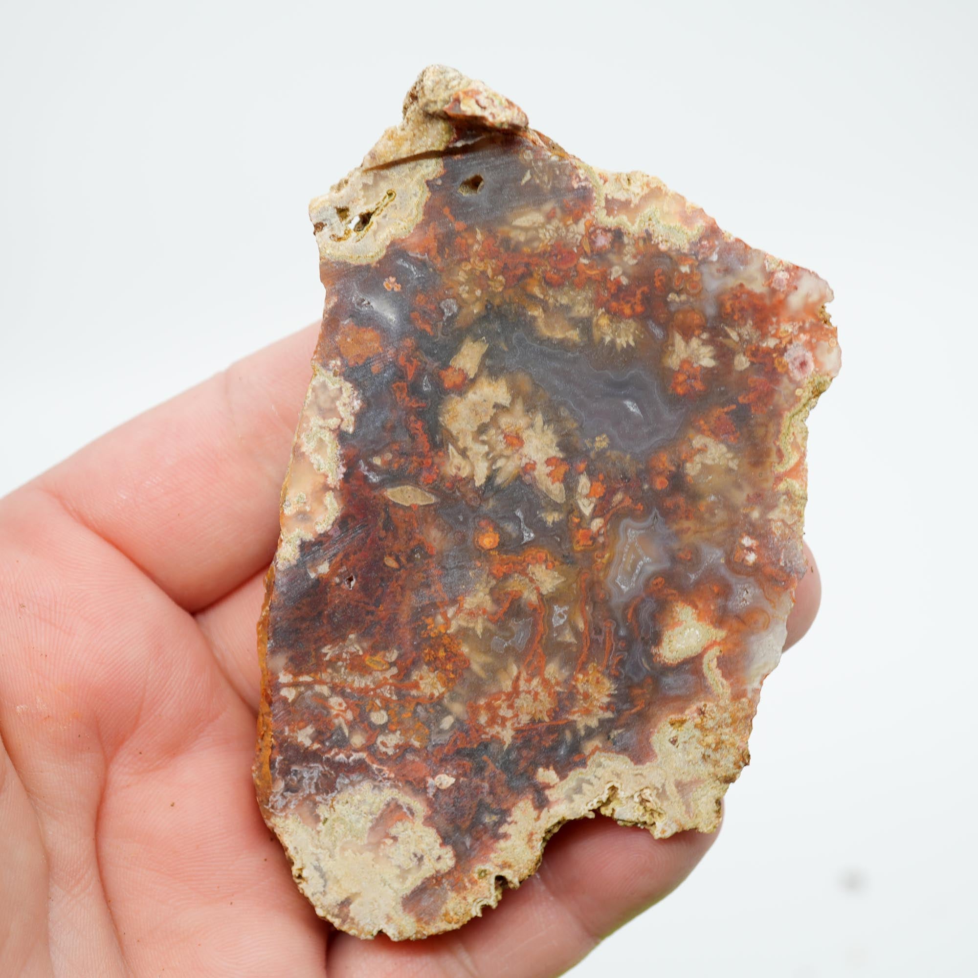 San Carlos Agate Endcut - Blue with Frost Snowflake Plumes and Red Moss