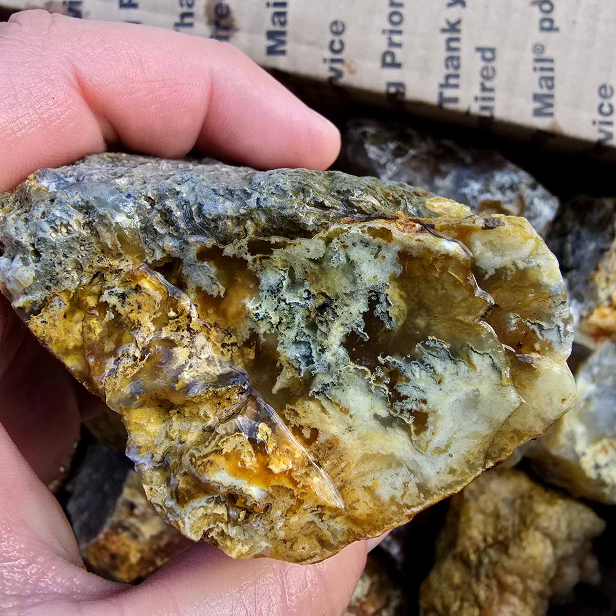 Rare Regency Rose Graveyard Point Plume Agate Lapidary Rough Flatrate Stones