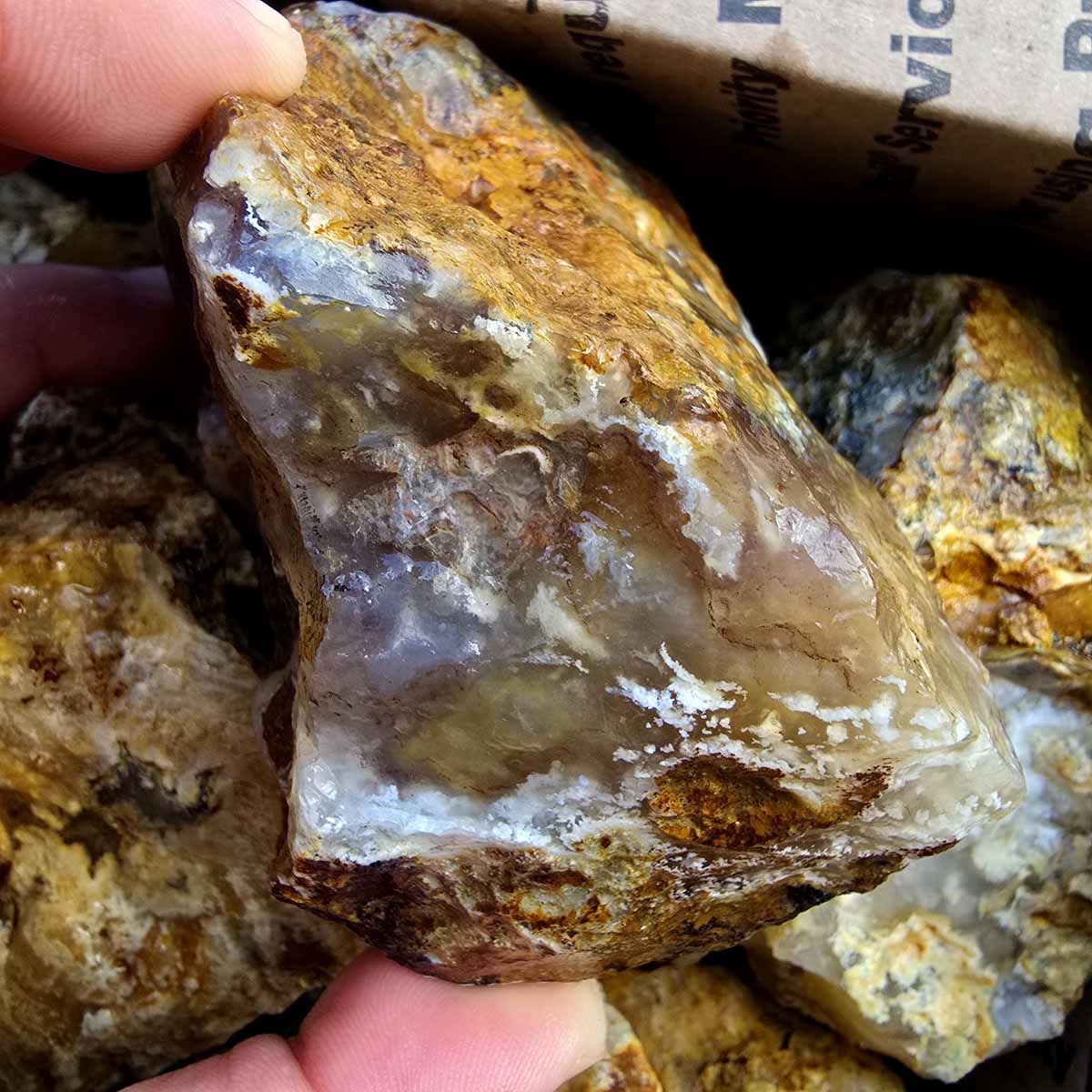 Rare Regency Rose Graveyard Point Plume Agate Lapidary Rough Flatrate Stones