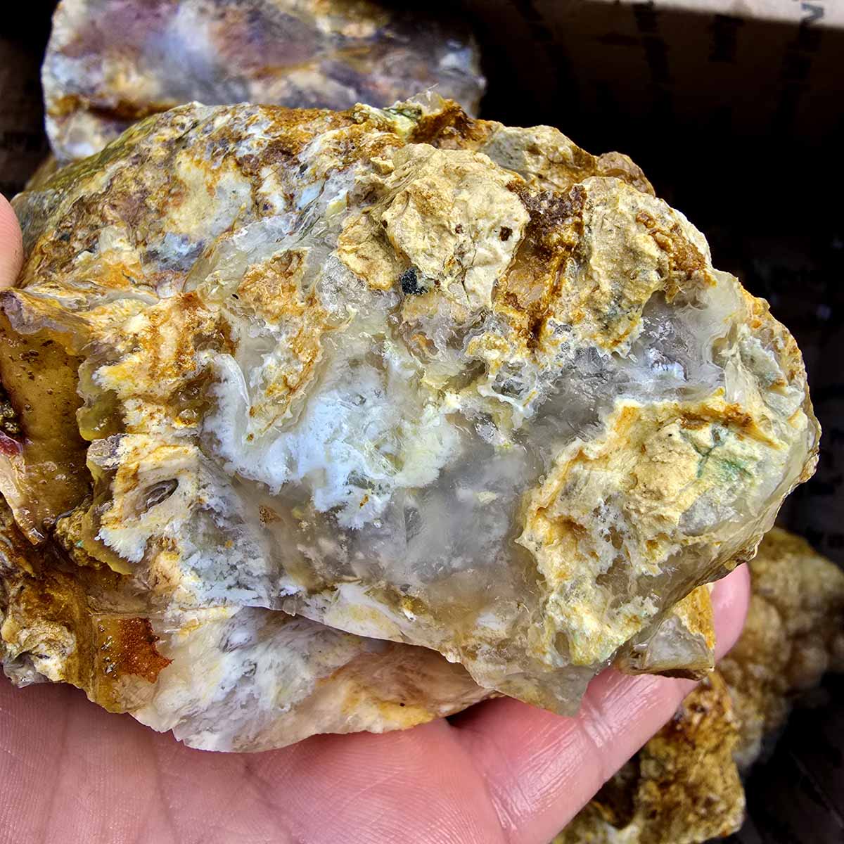 Rare Regency Rose Graveyard Point Plume Agate Lapidary Rough Flatrate Stones