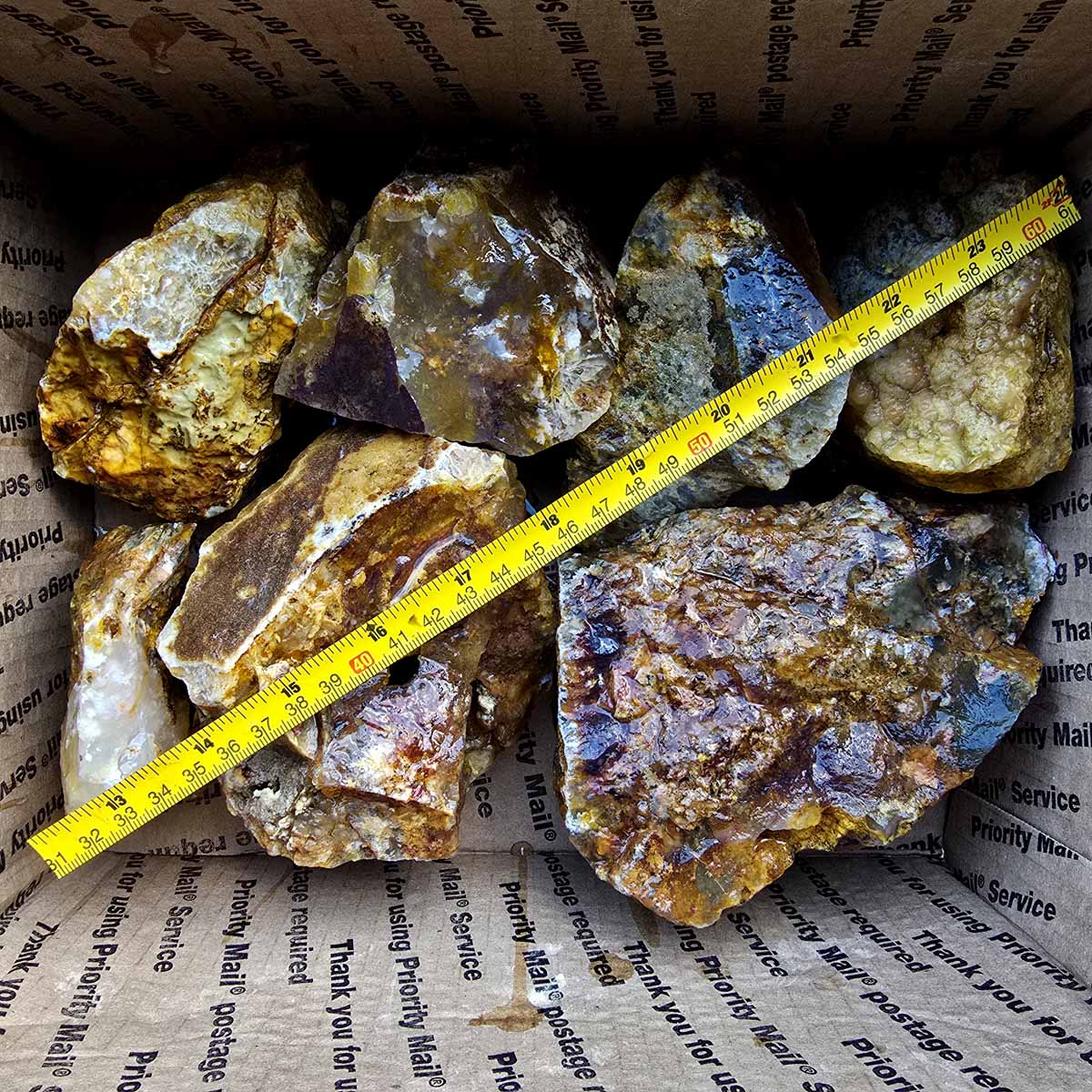 Rare Regency Rose Graveyard Point Plume Agate Lapidary Rough Flatrate Stones