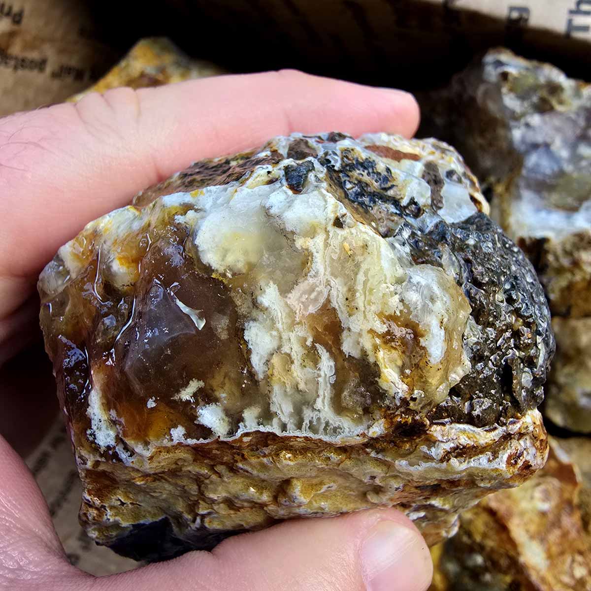 Rare Regency Rose Graveyard Point Plume Agate Lapidary Rough Flatrate Stones