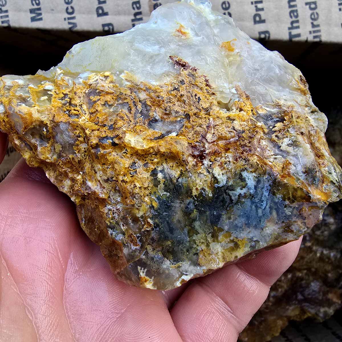 Rare Regency Rose Graveyard Point Plume Agate Lapidary Rough Flatrate Stones