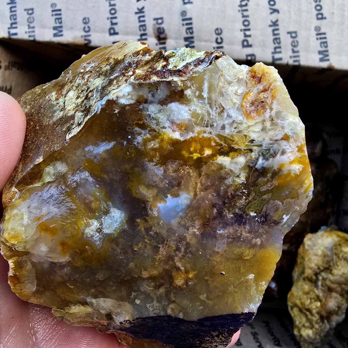 Rare Regency Rose Graveyard Point Plume Agate Lapidary Rough Flatrate Stones