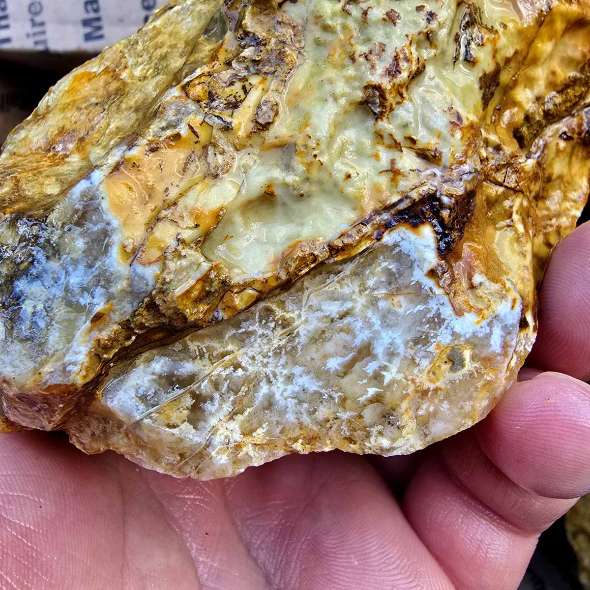 Rare Regency Rose Graveyard Point Plume Agate Lapidary Rough Flatrate Stones