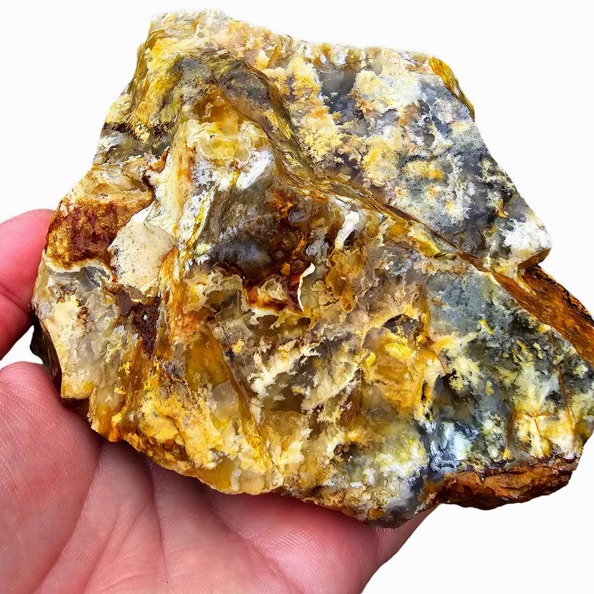 Regency Rose Plume Agate Lapidary Cutting Rough Chunk