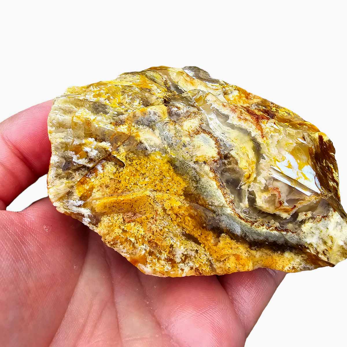 Regency Rose Plume Agate Lapidary Cutting Rough Chunk