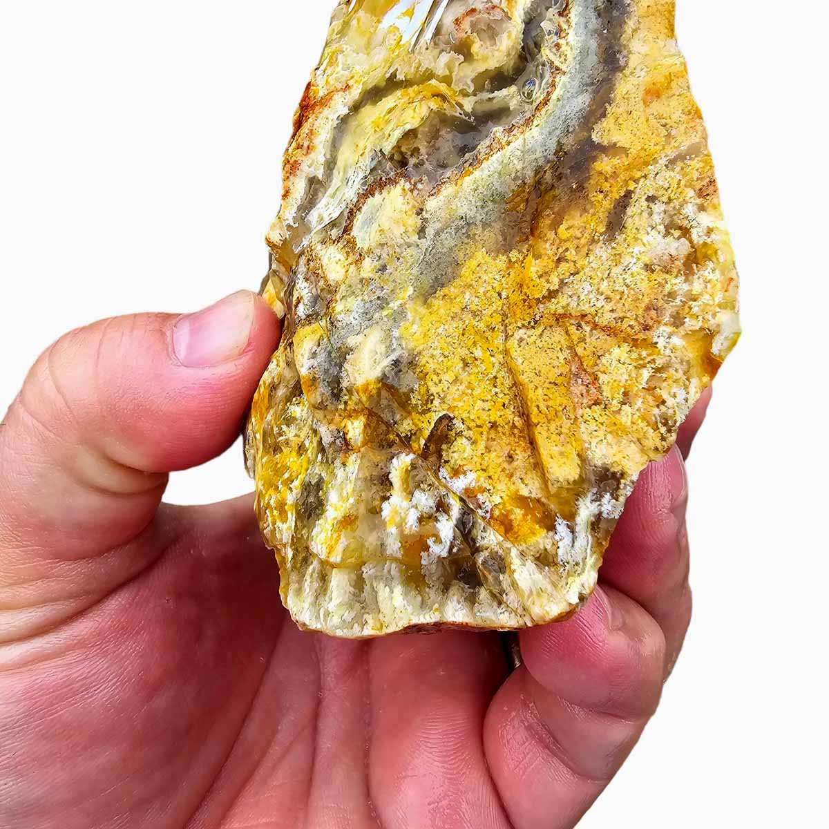 Regency Rose Plume Agate Lapidary Cutting Rough Chunk