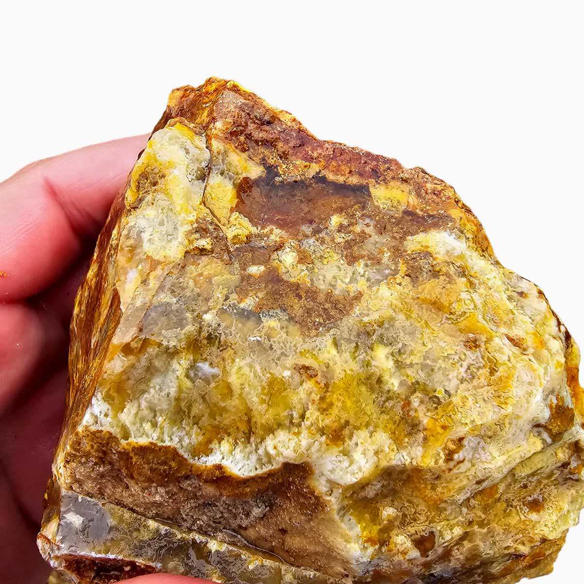 Regency Rose Plume Agate Lapidary Cutting Rough Chunk