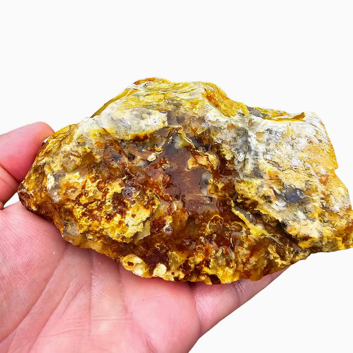 Regency Rose Plume Agate Lapidary Cutting Rough Chunk