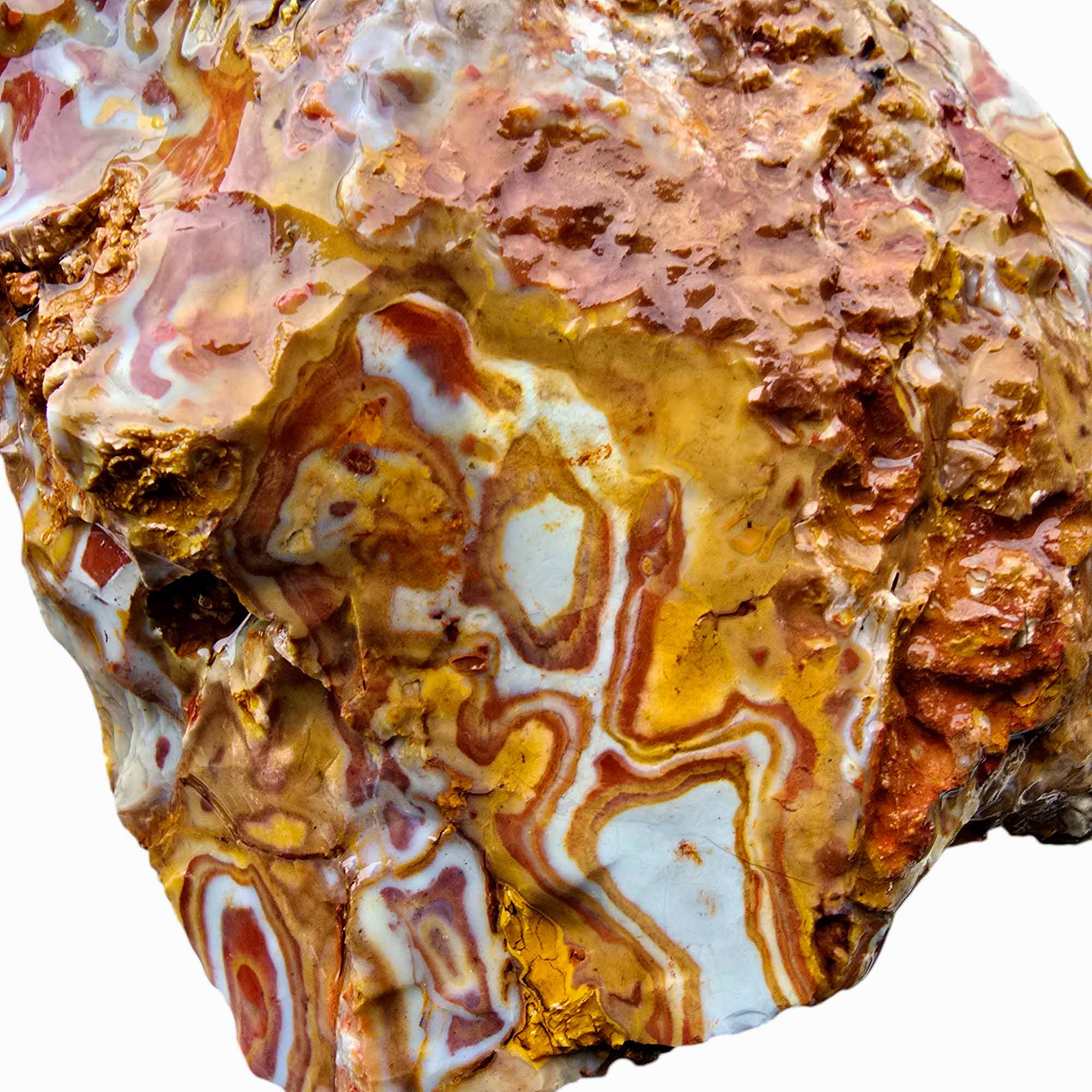 Rooster Tail Rhyolite Lapidary Cutting Rough Chunk