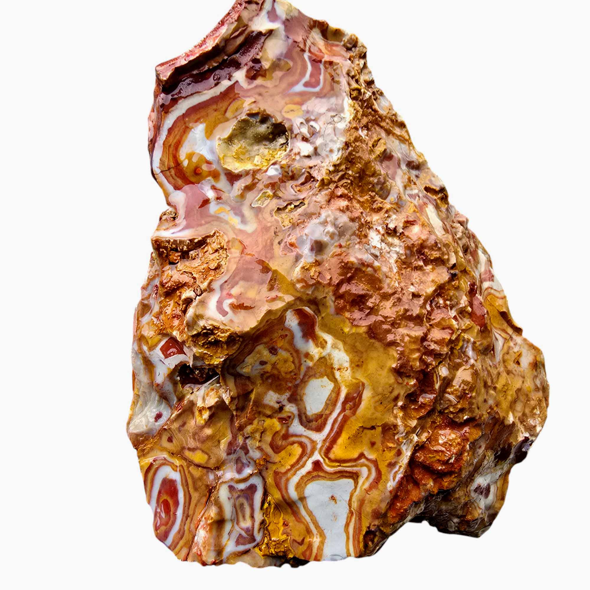 Rooster Tail Rhyolite Lapidary Cutting Rough Chunk