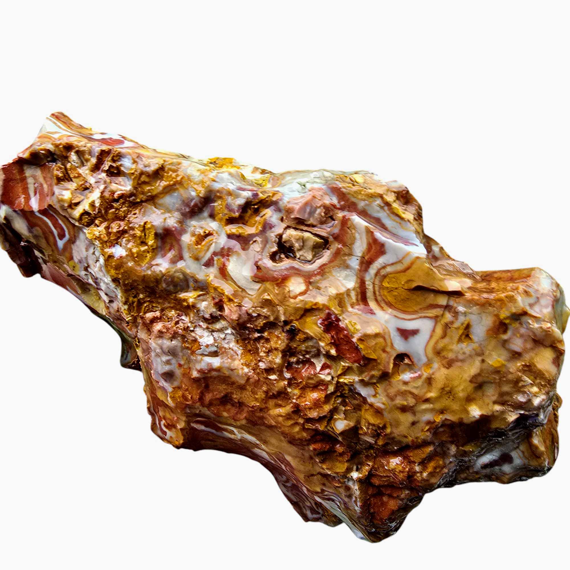 Rooster Tail Rhyolite Lapidary Cutting Rough Chunk