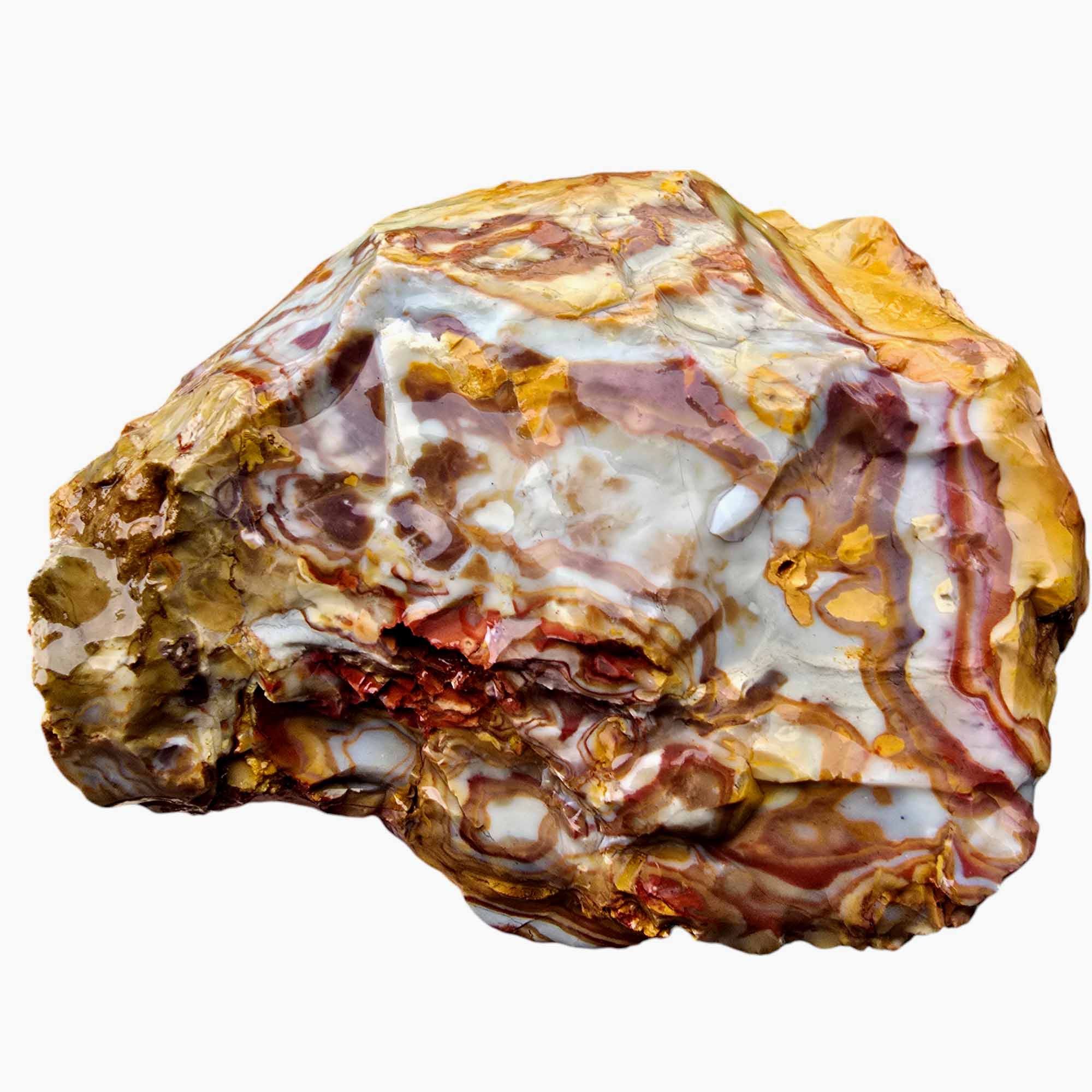 Rooster Tail Rhyolite Lapidary Cutting Rough Chunk