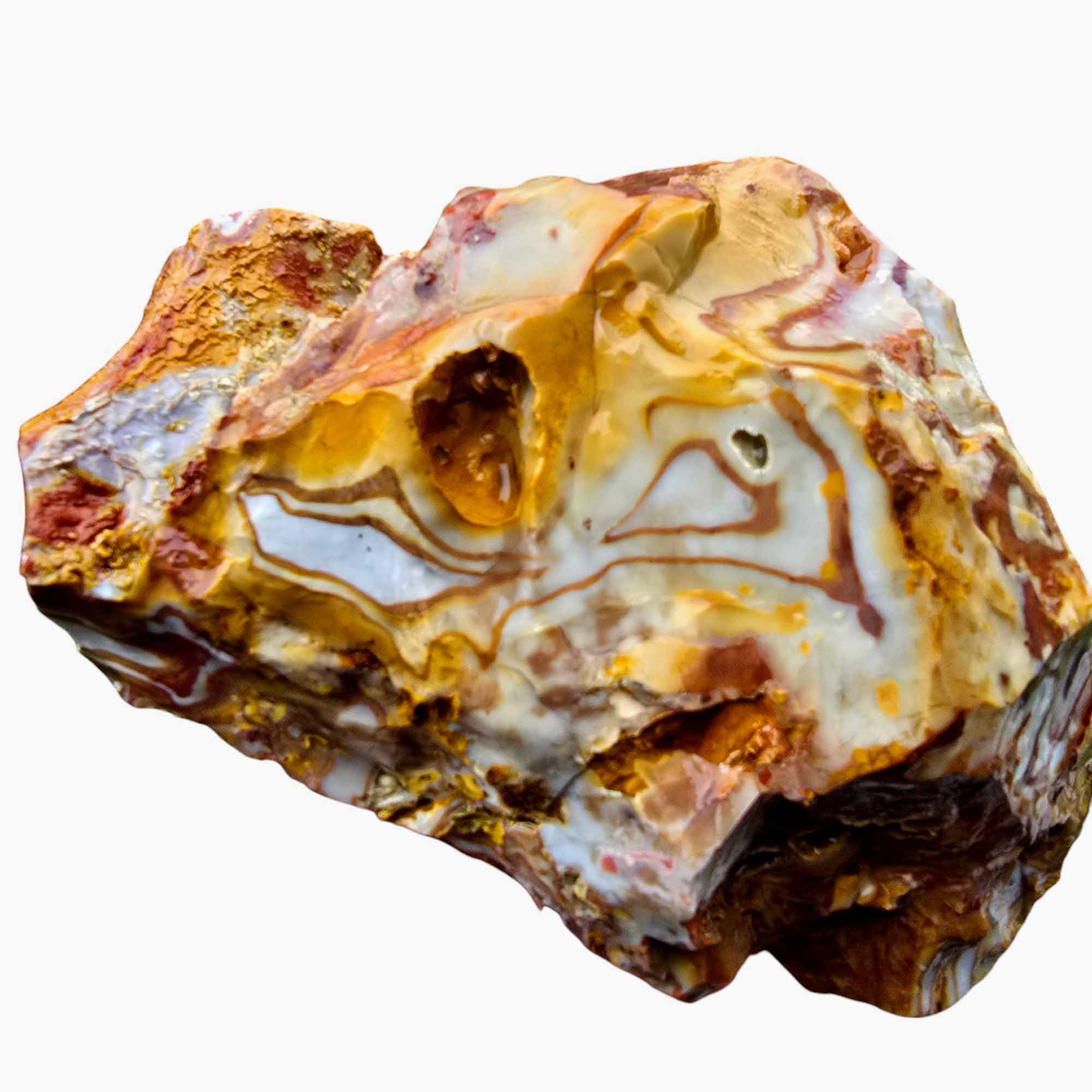 Rooster Tail Rhyolite Lapidary Cutting Rough Chunk