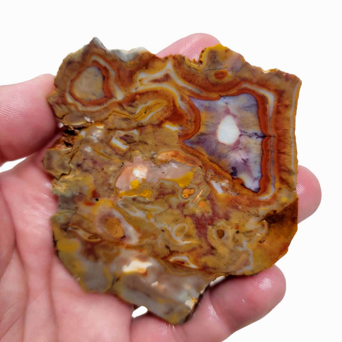 Rooster Tail Jasper Slab!  Lapidary Stone Slab!