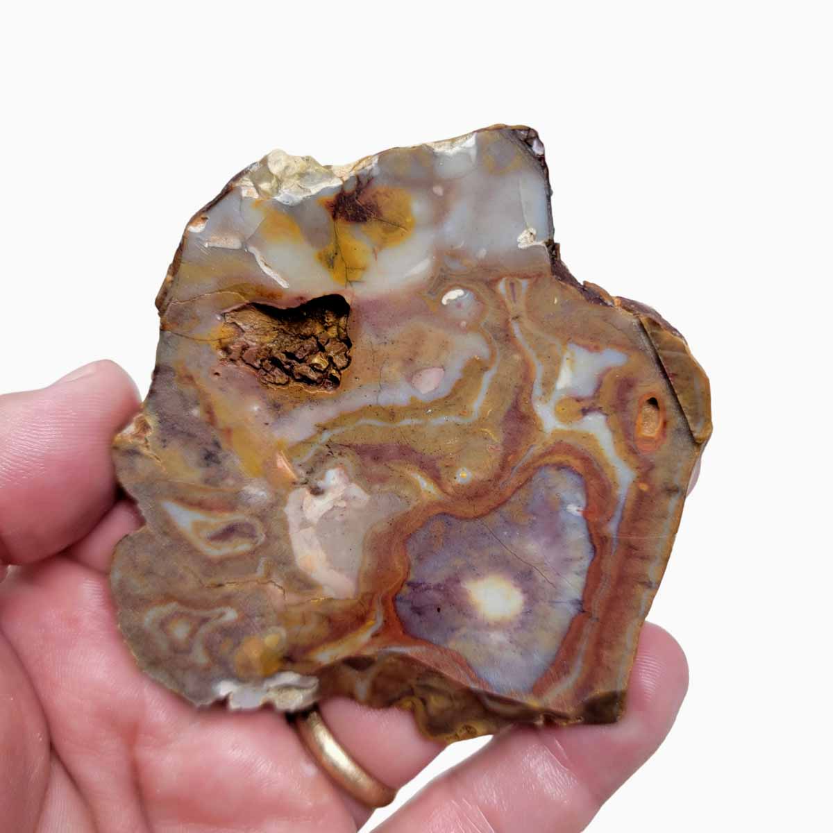 Rooster Tail Jasper Slab!  Lapidary Stone Slab!