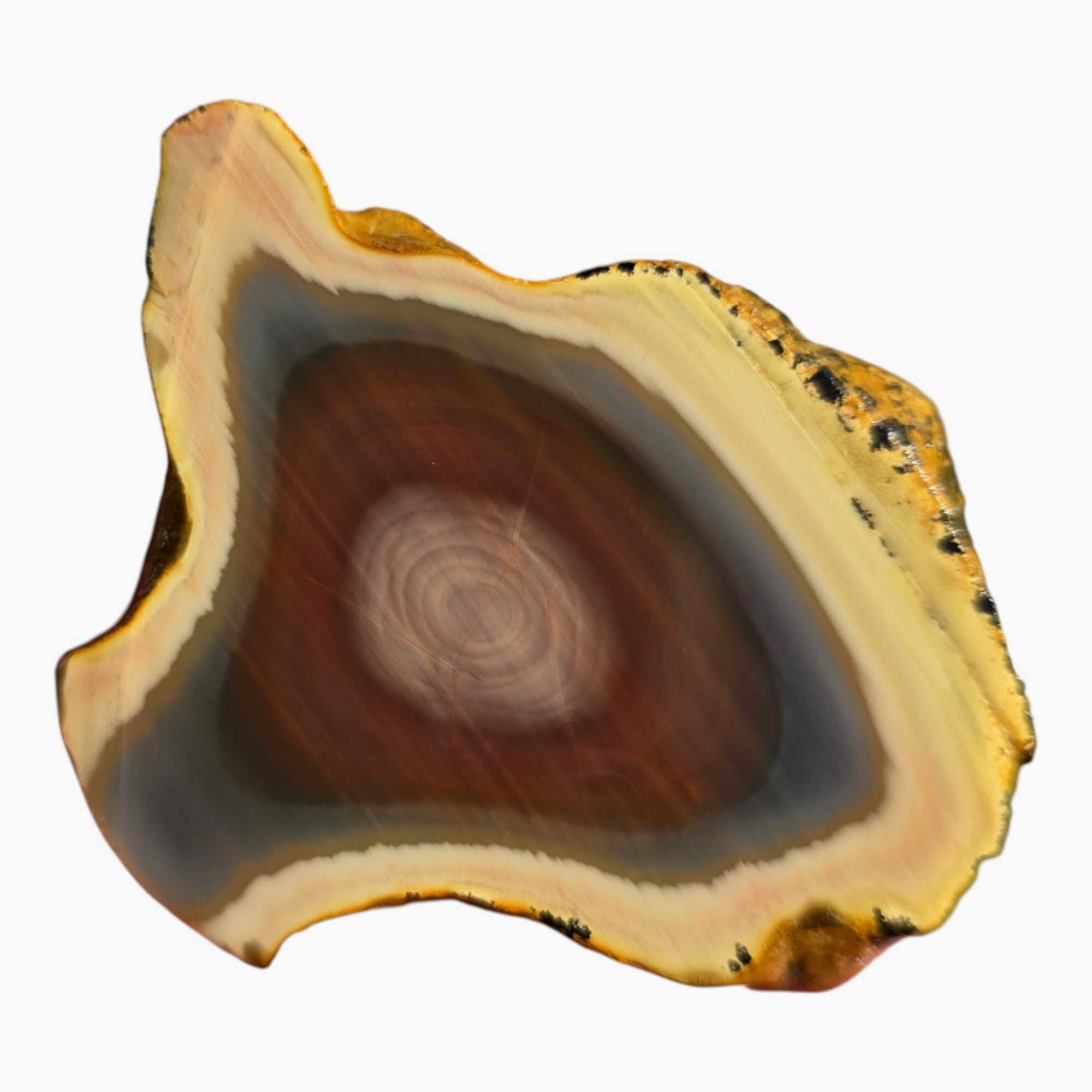 Royal Imperial Jasper Slab Lapidary Stone Slice Cut Rock