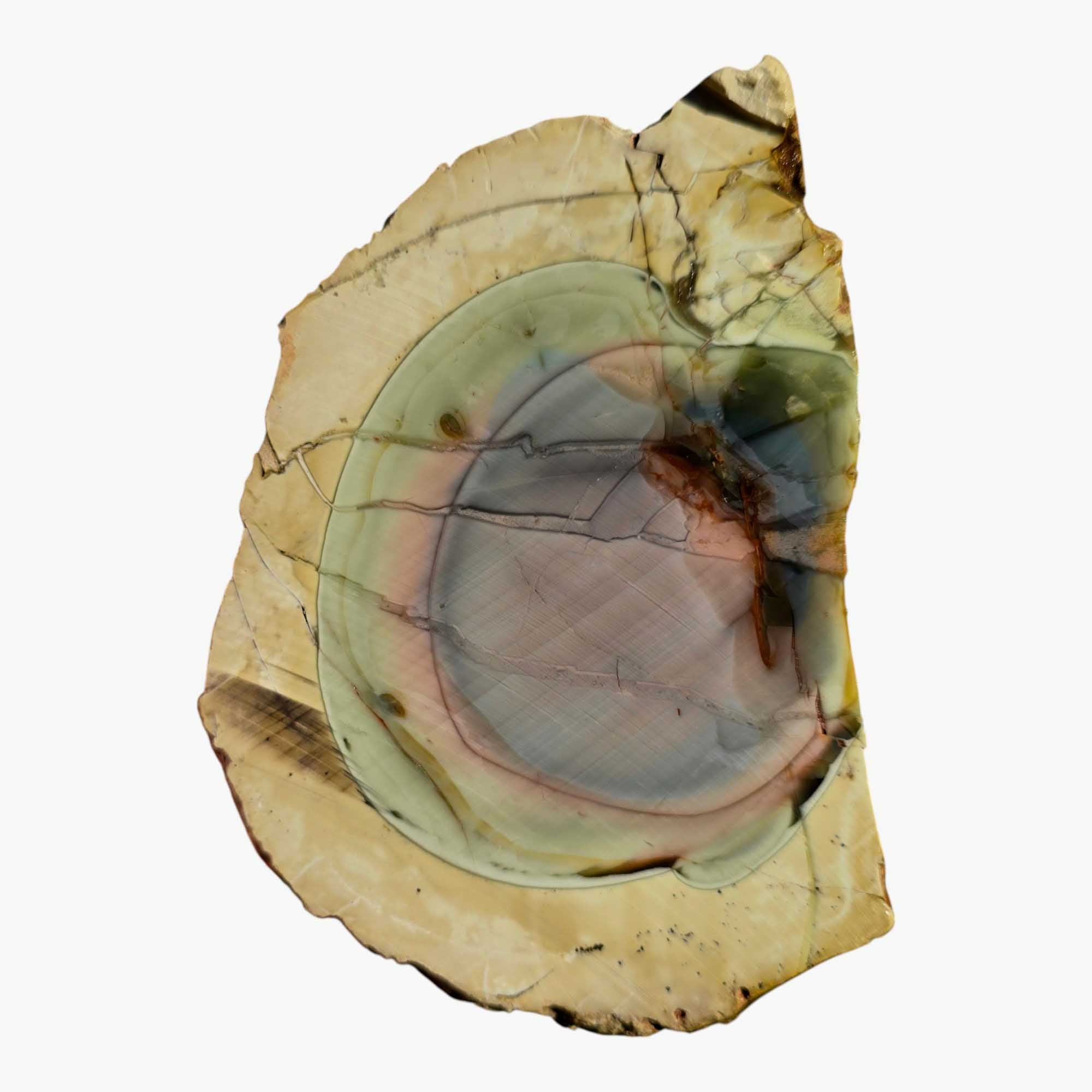 Royal Imperial Jasper Slab Lapidary Stone Slice Cut Rock