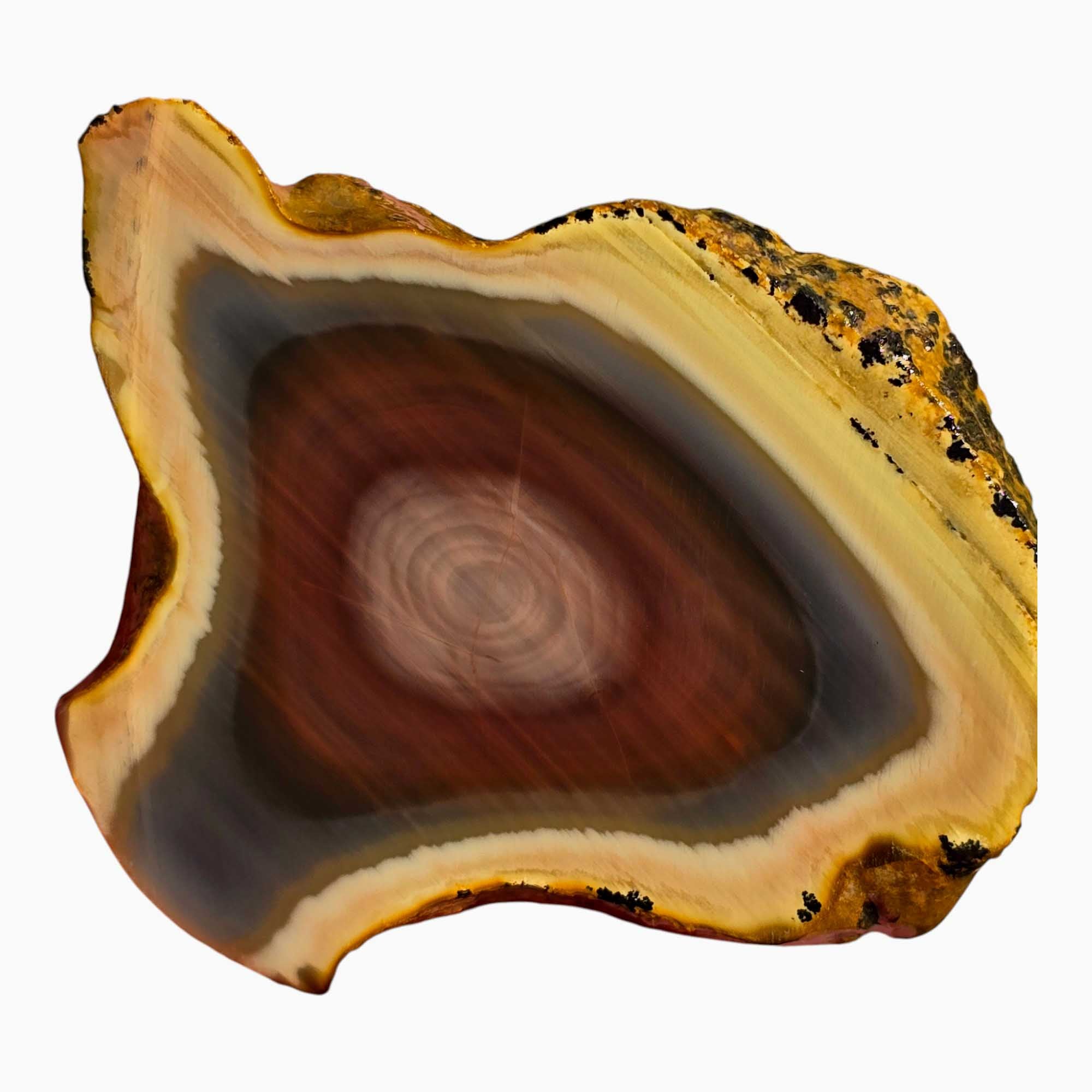 Royal Imperial Jasper Slab Lapidary Stone Slice Cut Rock