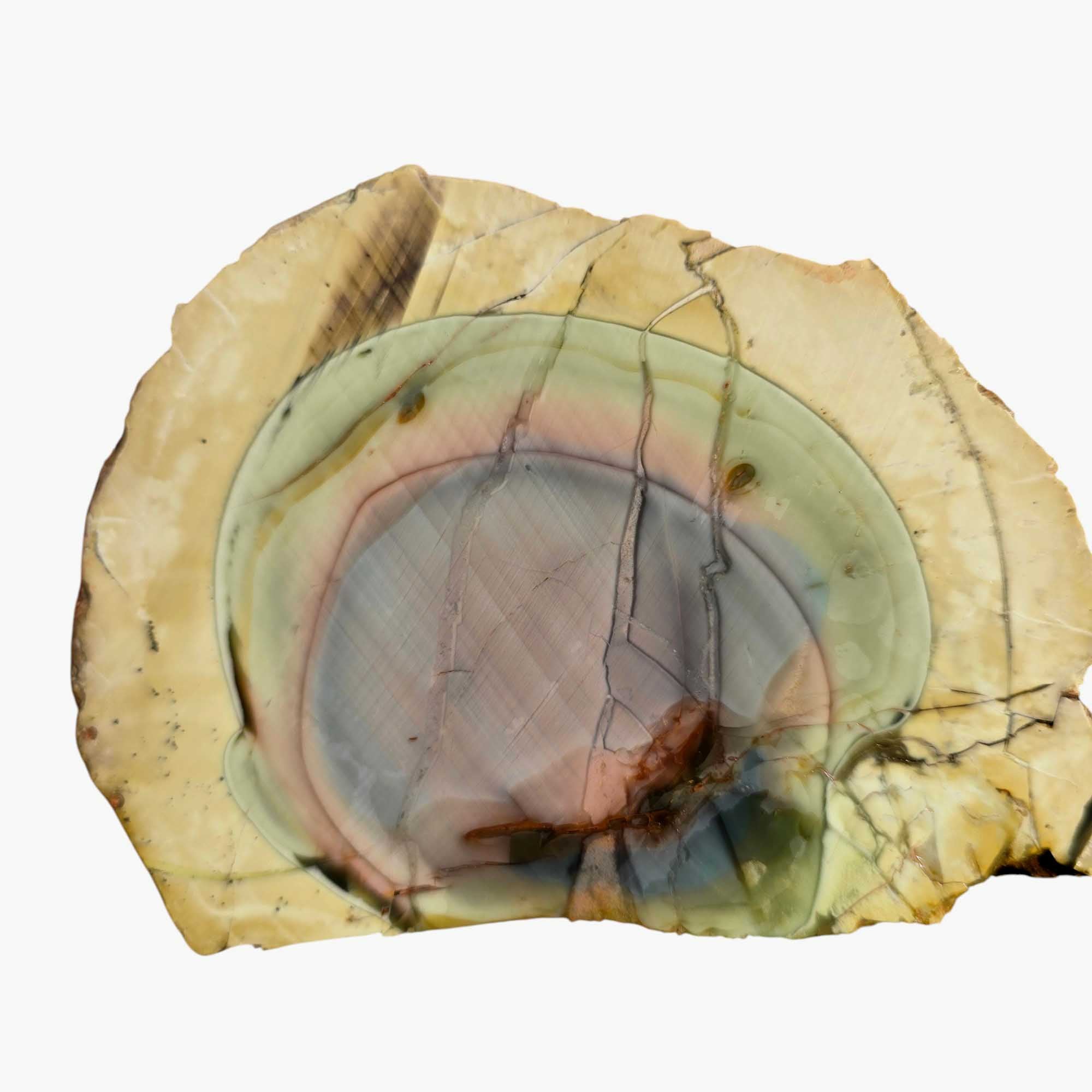 Royal Imperial Jasper Slab Lapidary Stone Slice Cut Rock