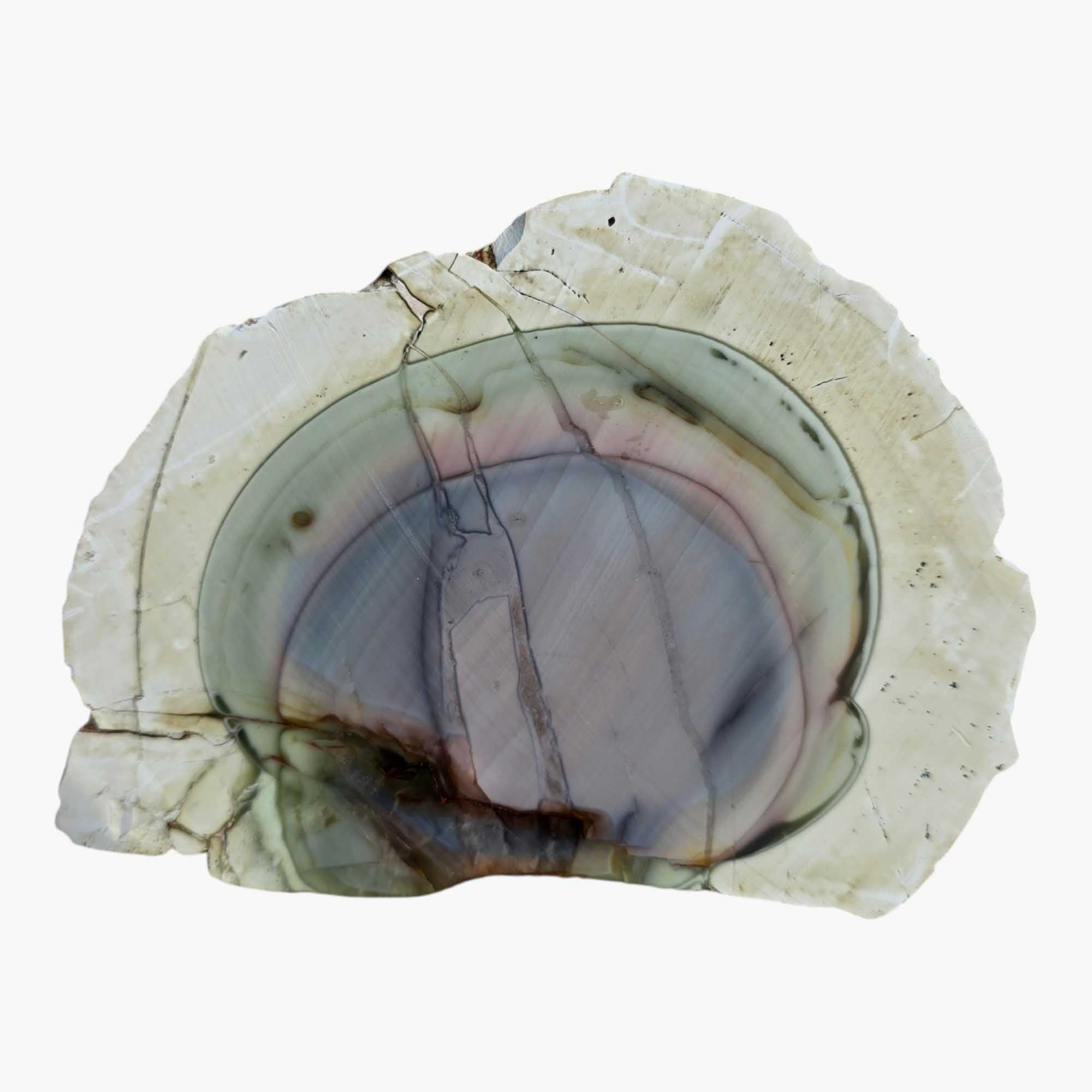 Royal Imperial Jasper Slab Lapidary Stone Slice Cut Rock