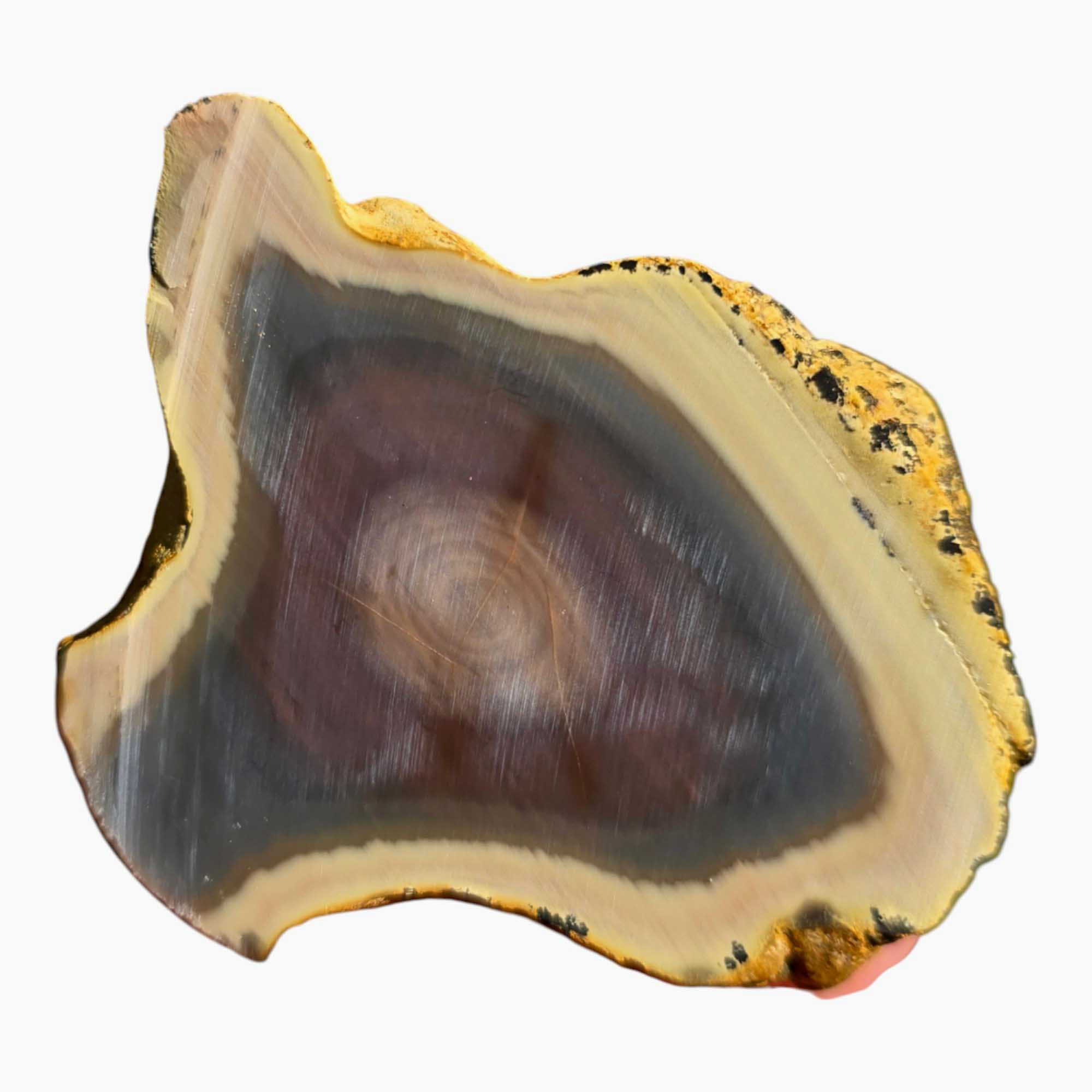 Royal Imperial Jasper Slab Lapidary Stone Slice Cut Rock