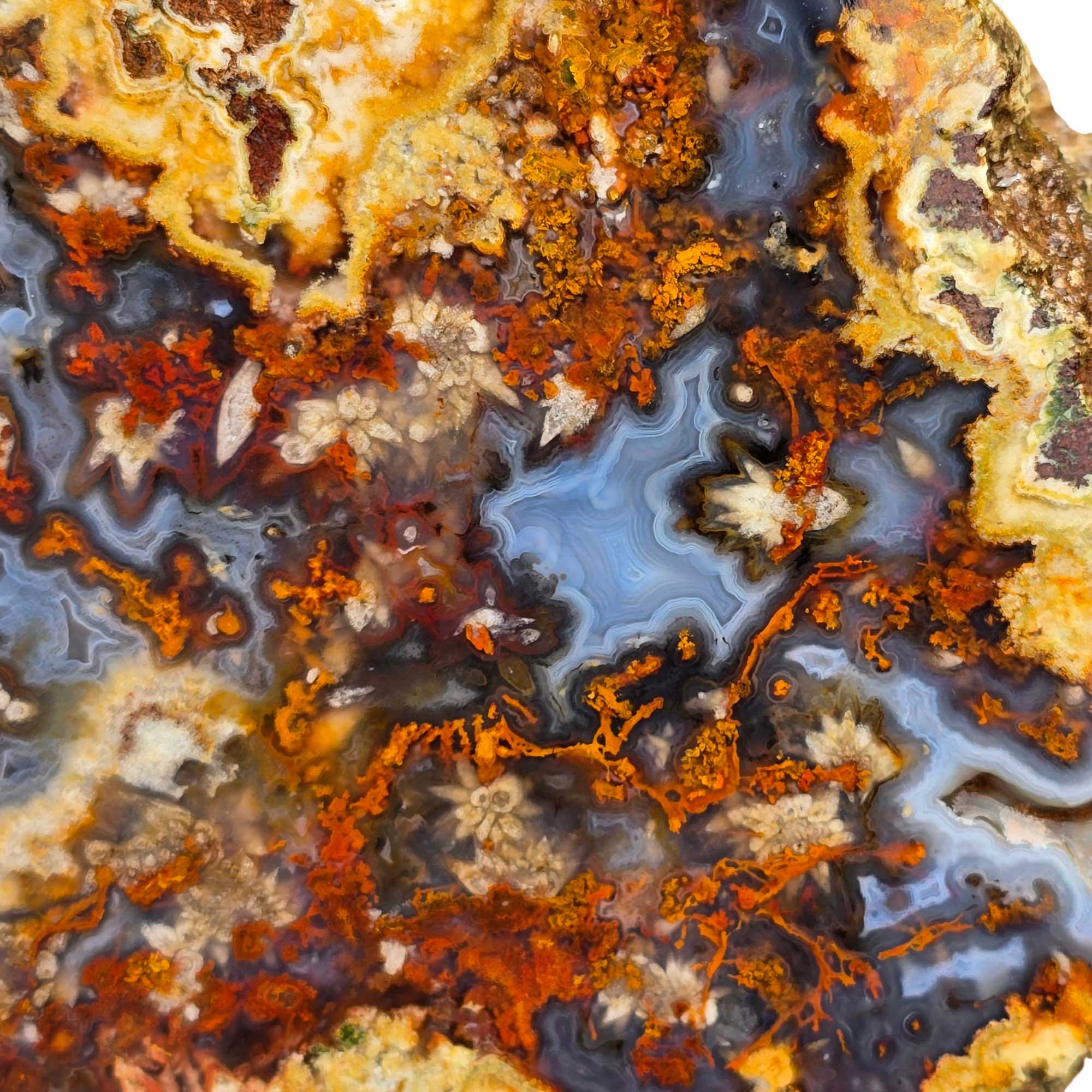 San Carlos Moss Agate Lapidary Cutting Rough Chunk Stone Cut Face