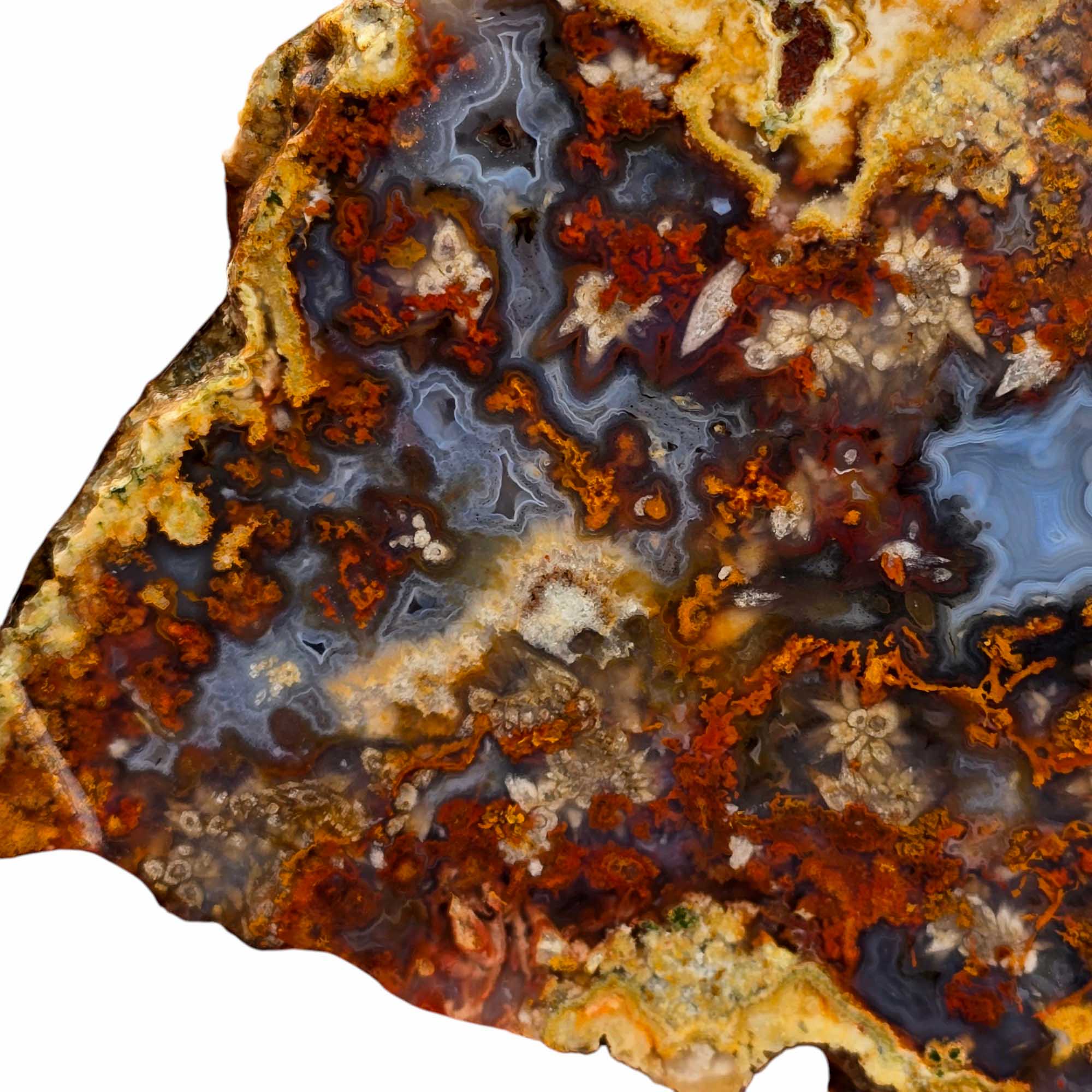 San Carlos Moss Agate Lapidary Cutting Rough Chunk Stone Cut Face