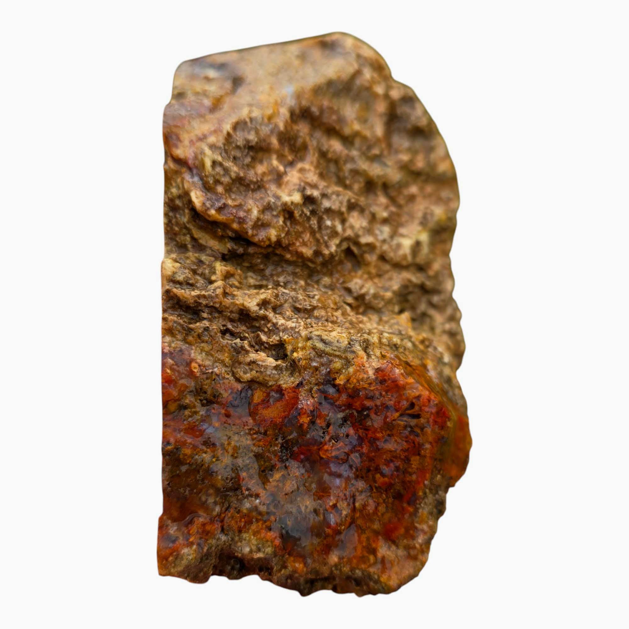 San Carlos Moss Agate Lapidary Cutting Rough Chunk Stone Cut Face