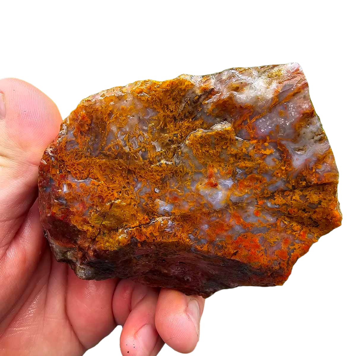 San Carlos Moss Agate Rough Chunk!