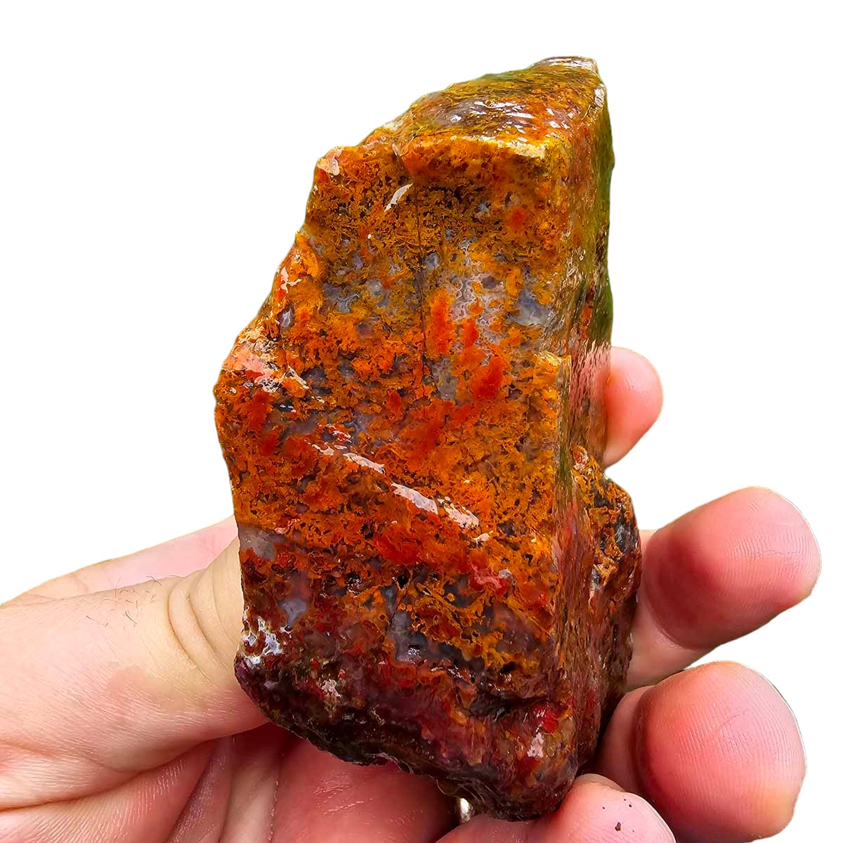 San Carlos Moss Agate Rough Chunk!