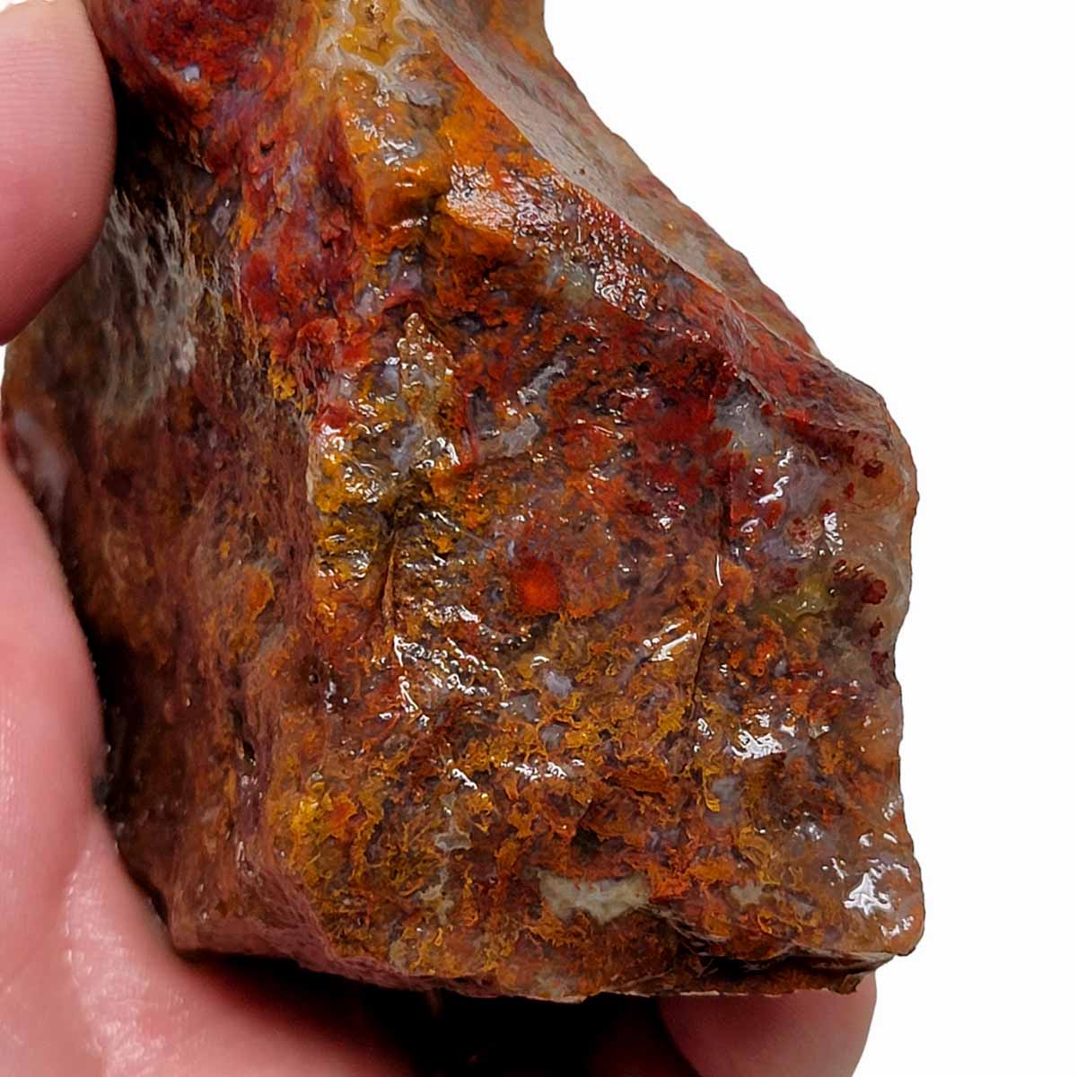 San Carlos Moss Agate Rough Chunk!