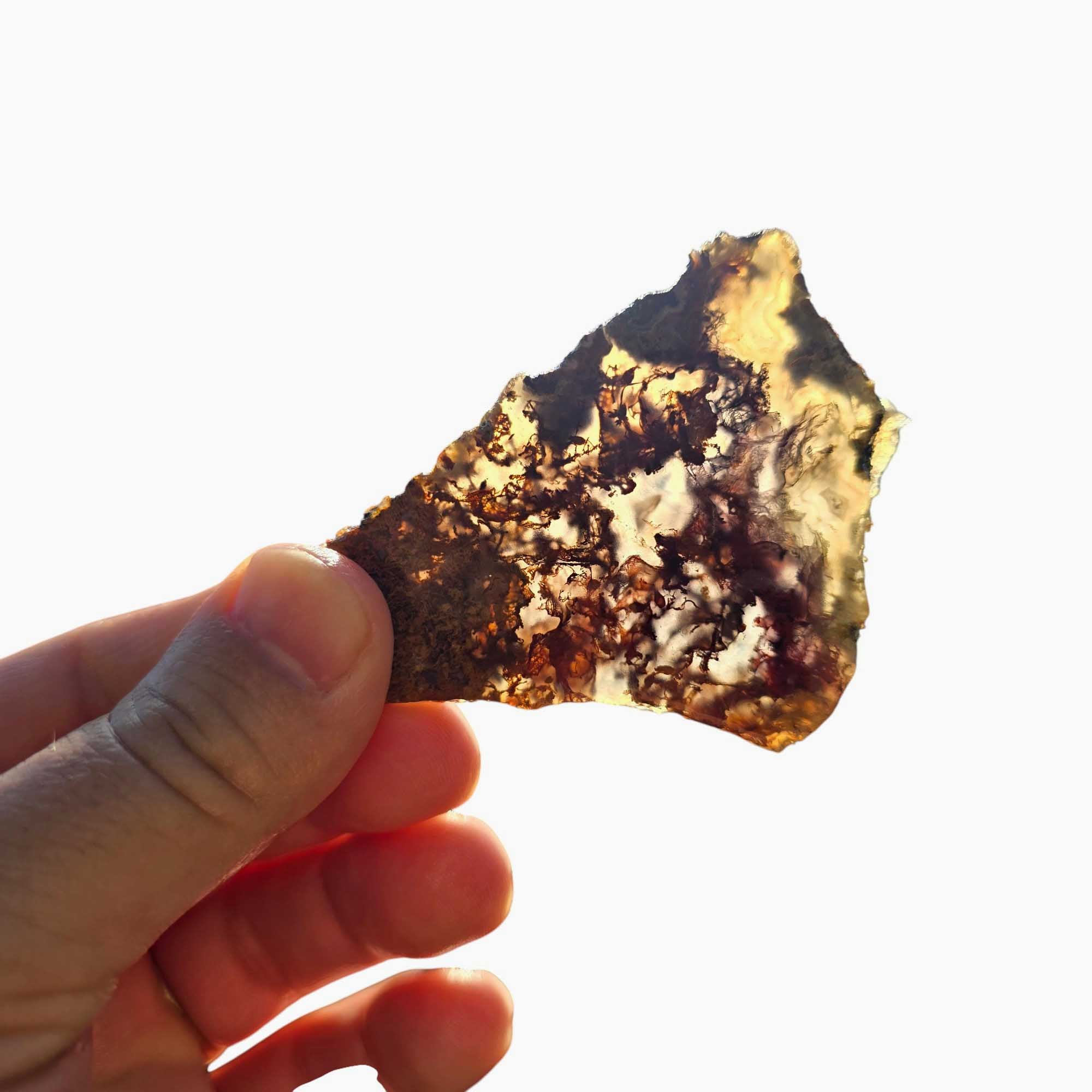 San Carlos Agate Slab Lapidary Stone Slice Cut Rock