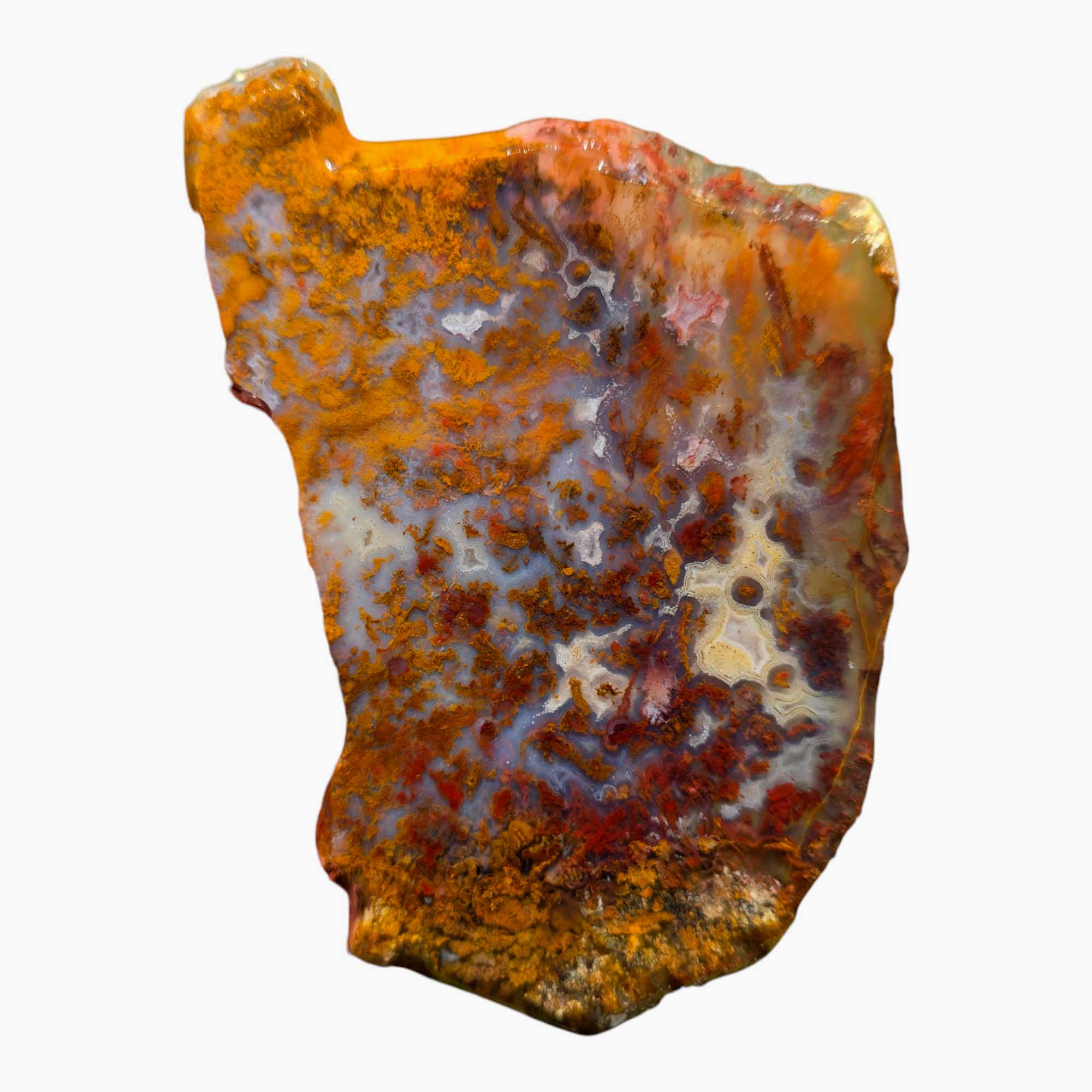 San Carlos Agate Slab Lapidary Stone Slice Cut Rock
