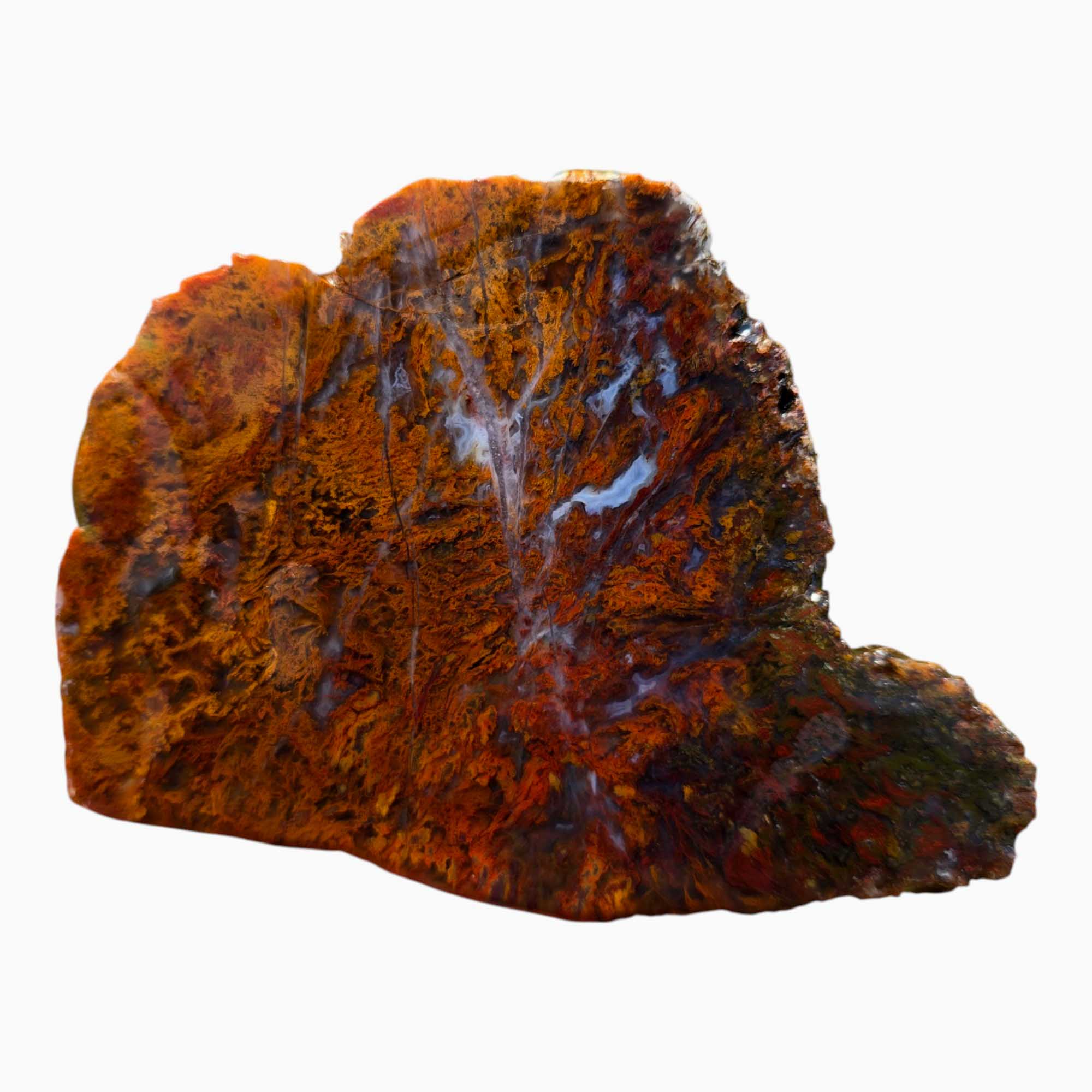 San Carlos Agate Slab Lapidary Stone Slice Cut Rock