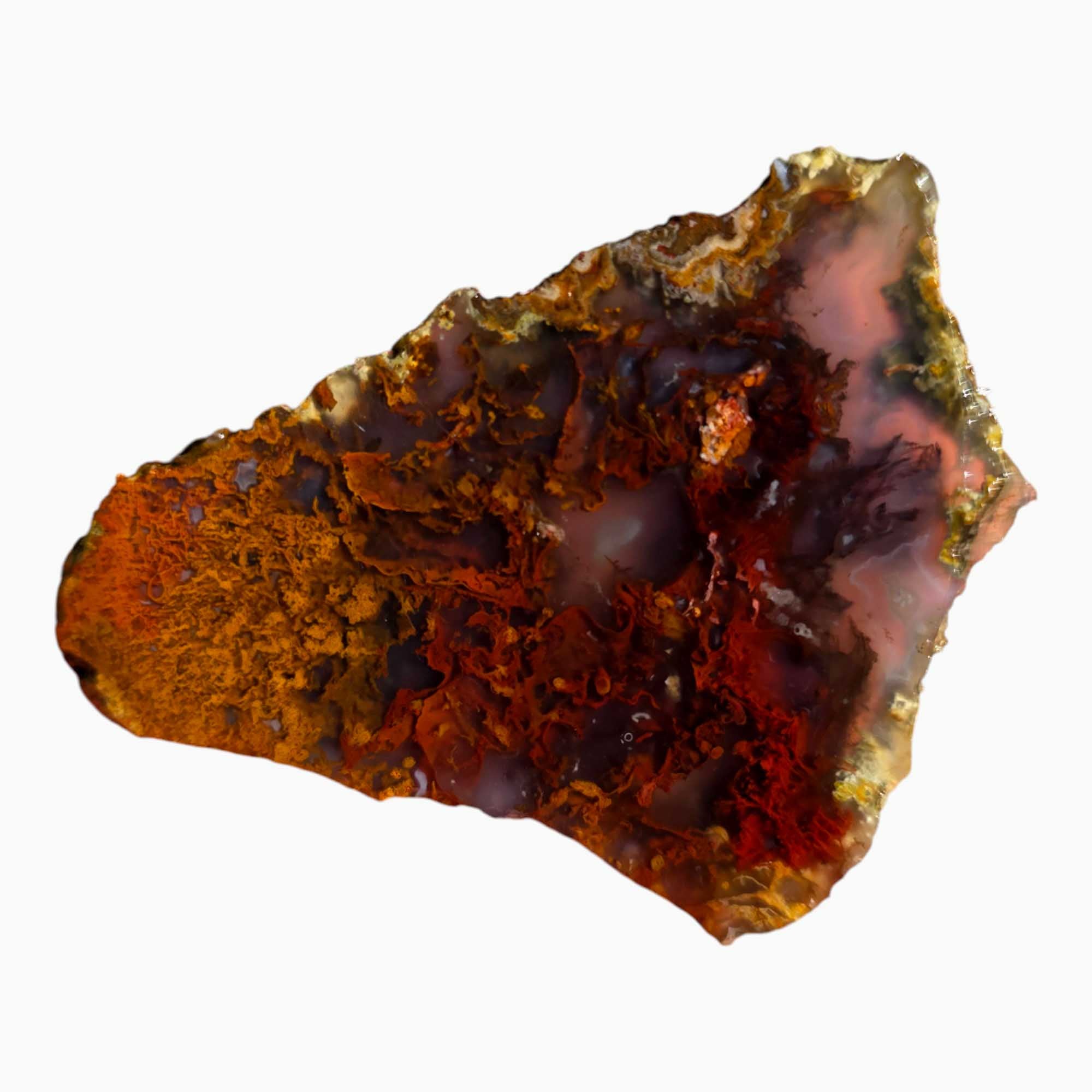 San Carlos Agate Slab Lapidary Stone Slice Cut Rock