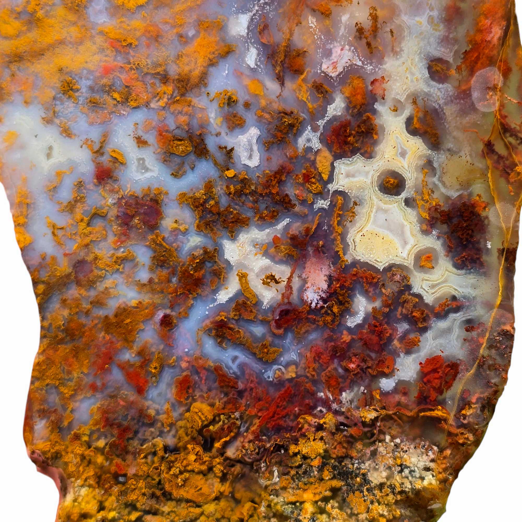 San Carlos Agate Slab Lapidary Stone Slice Cut Rock