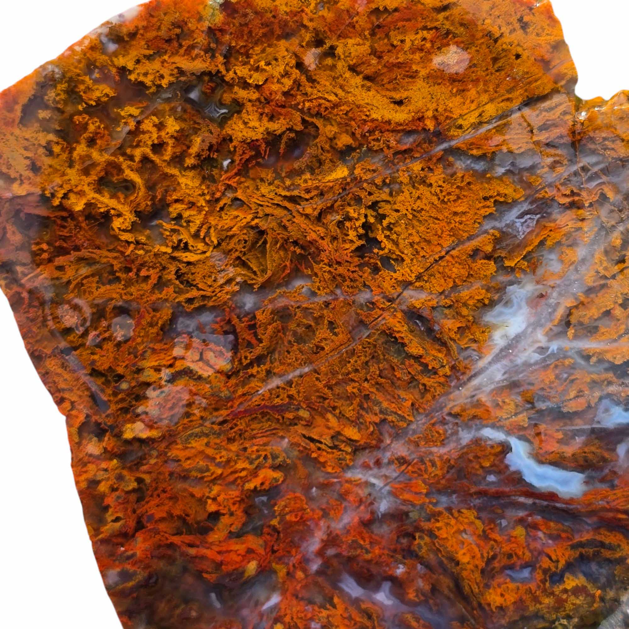 San Carlos Agate Slab Lapidary Stone Slice Cut Rock